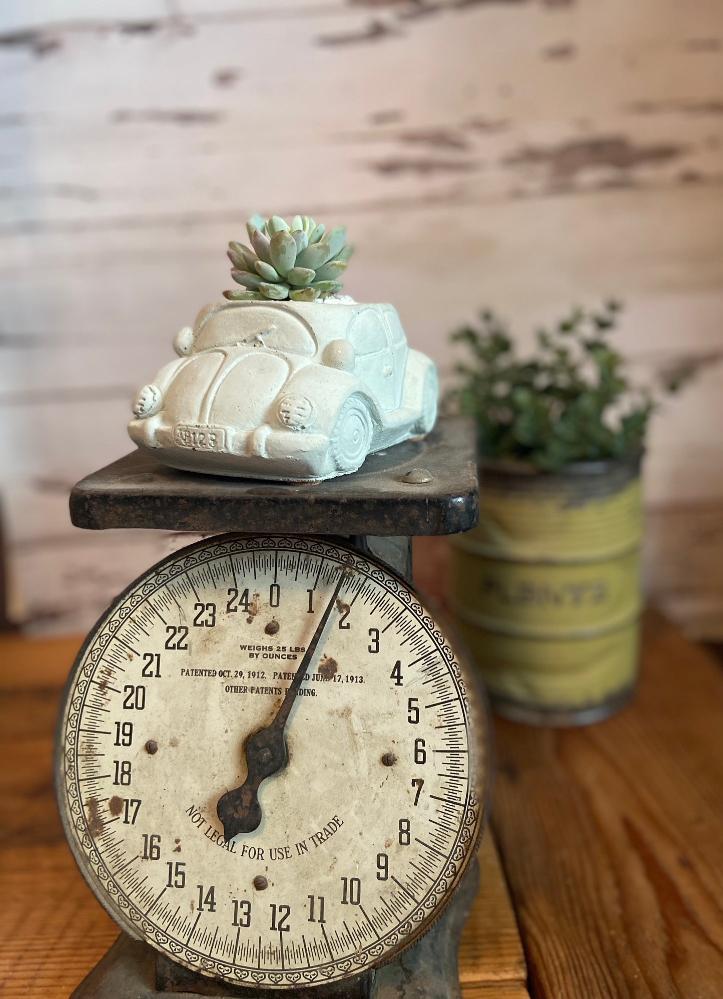 Volkswagon Beetle Planter