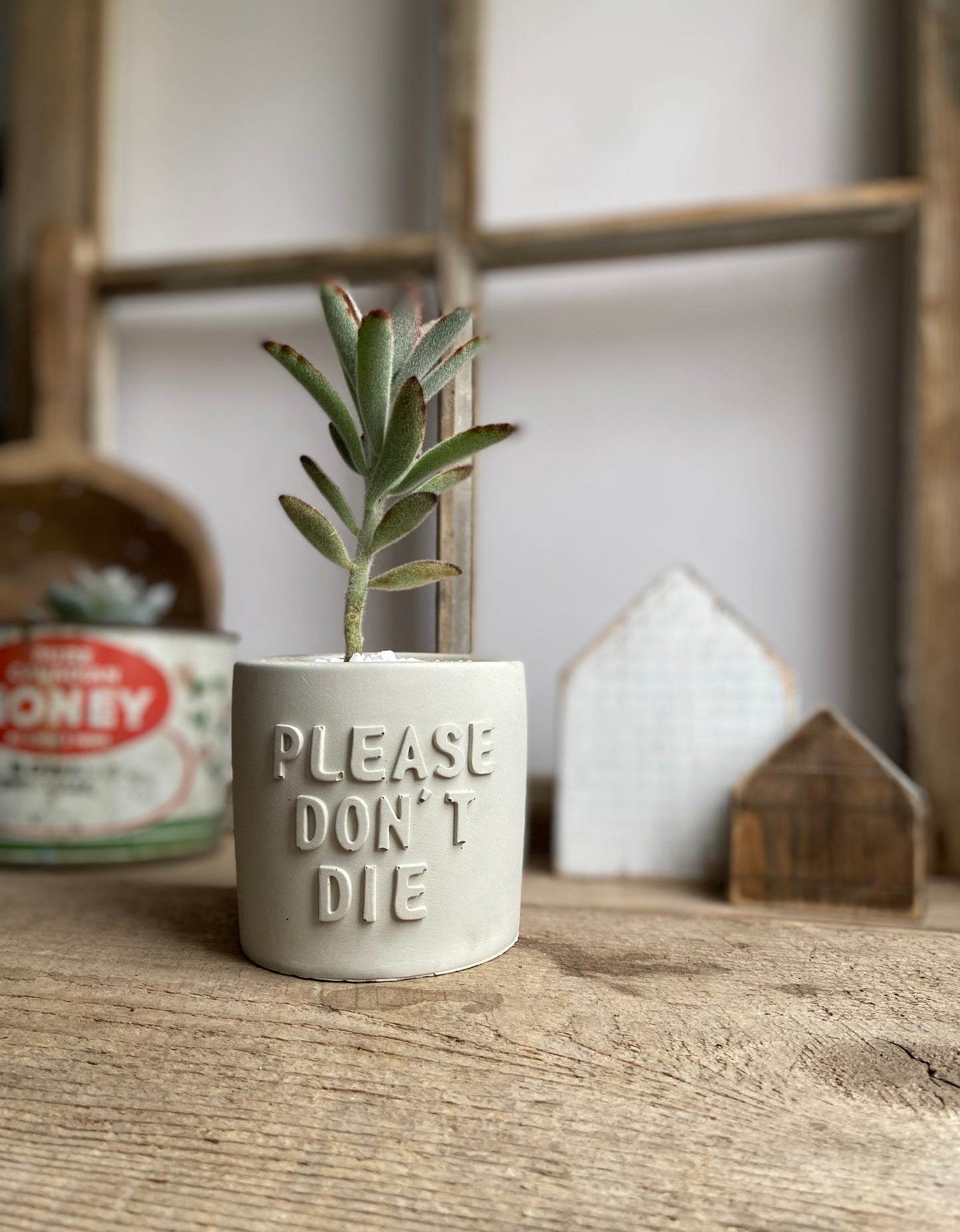 ‘Please Don’t’ Planter