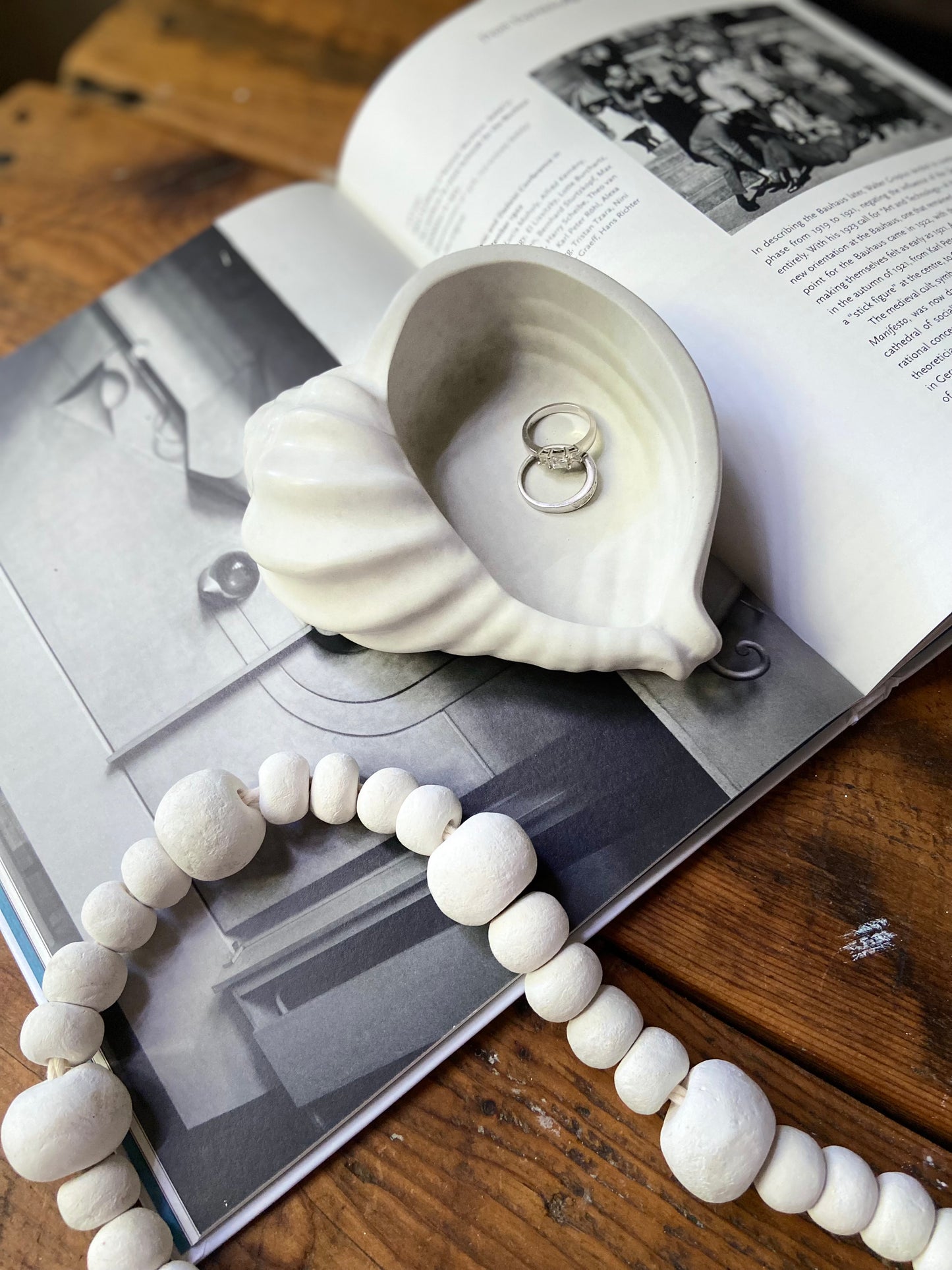 Conch Shell