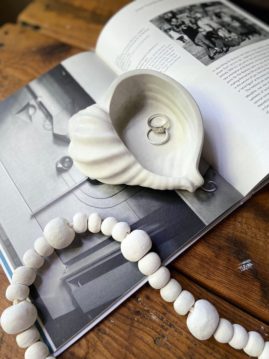 Conch Shell