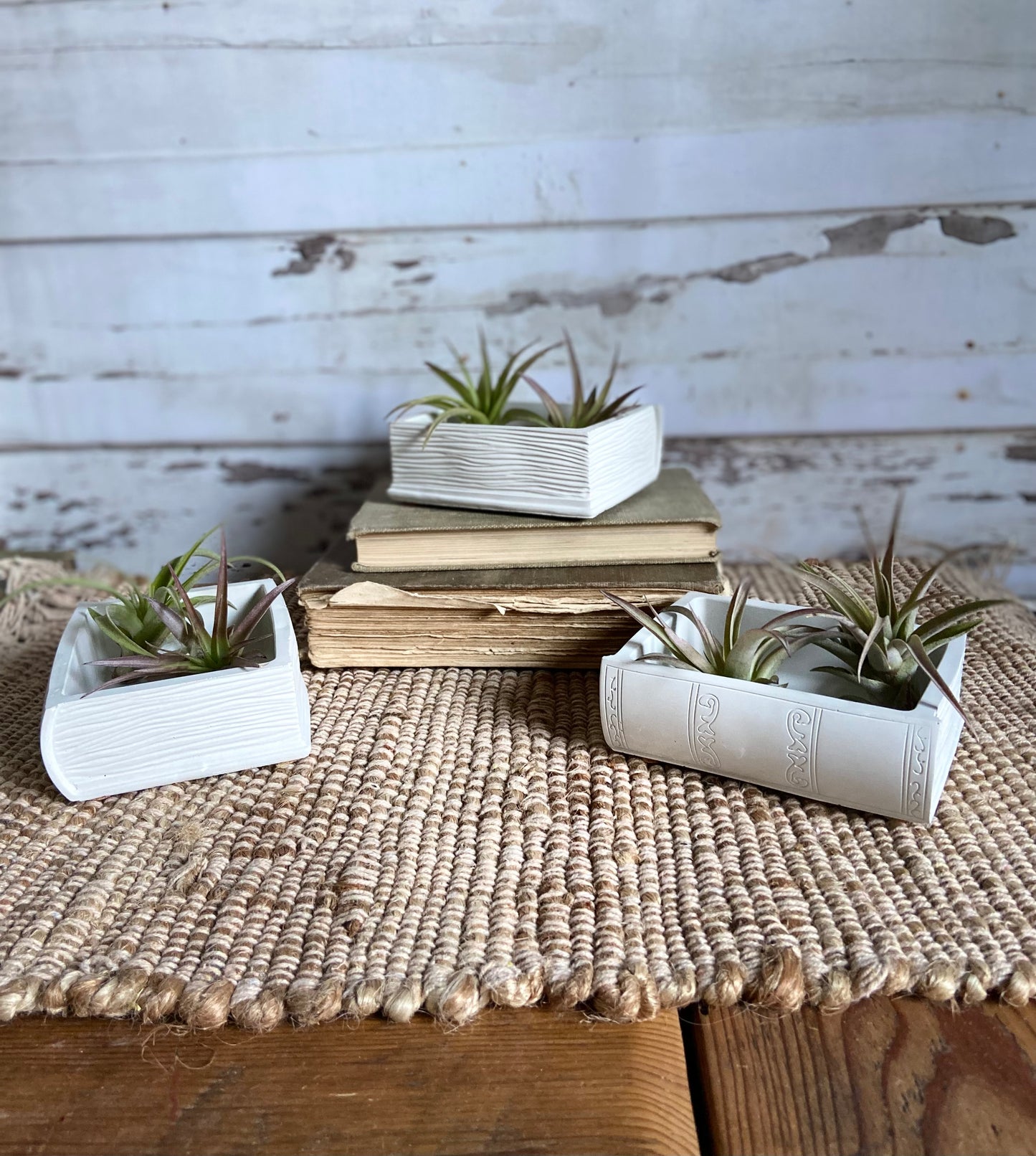 Book Planter