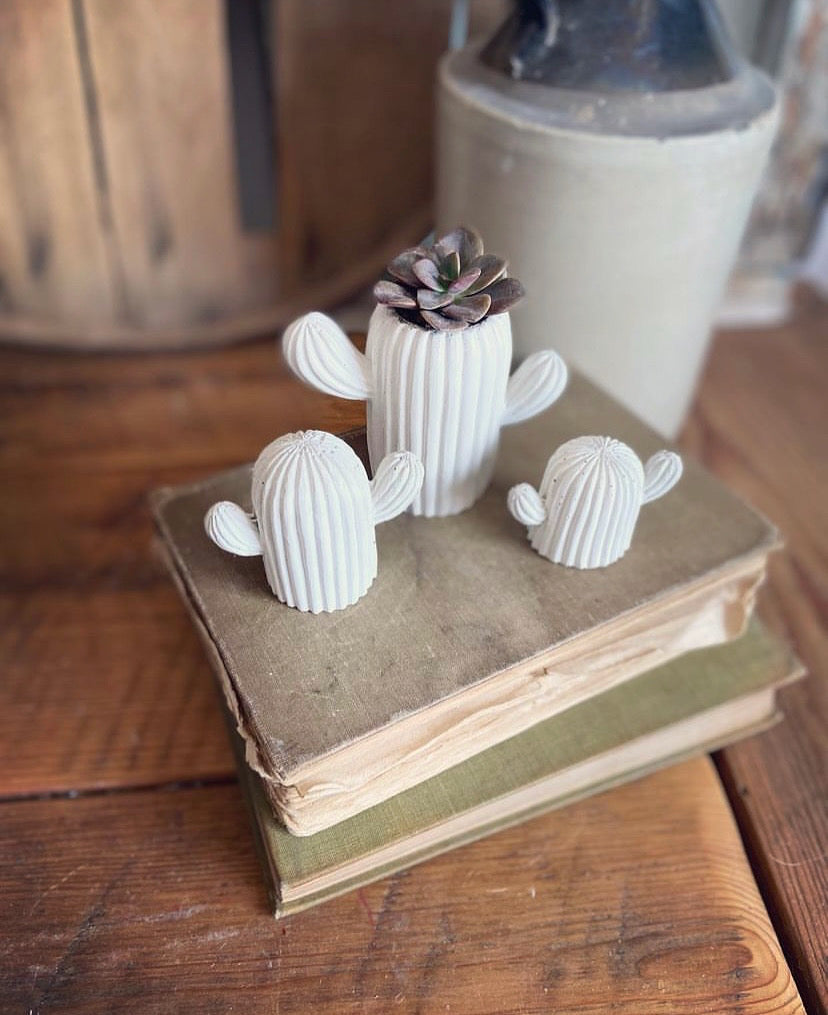 Cactus Planter