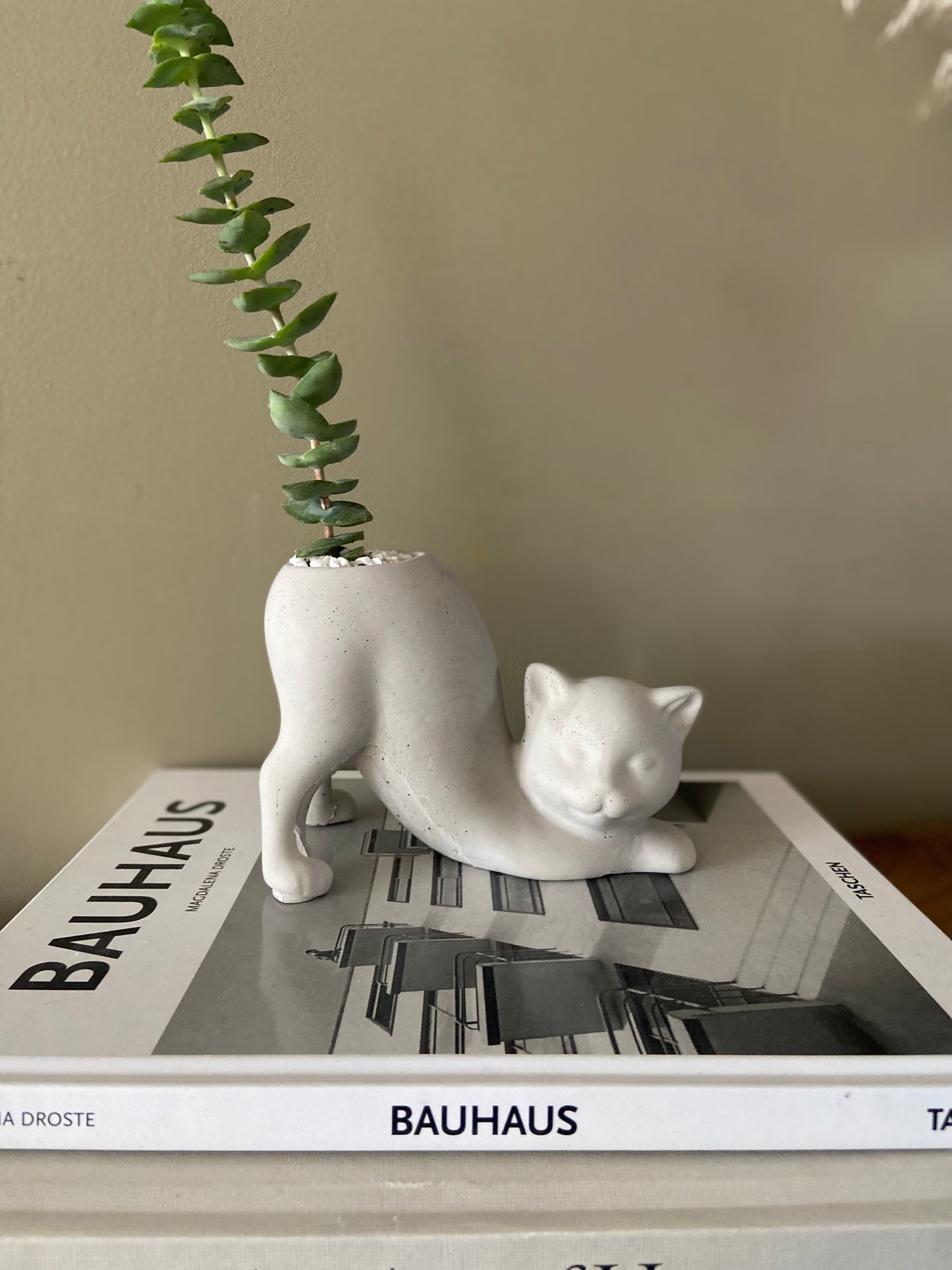 Stretching Cat Planter
