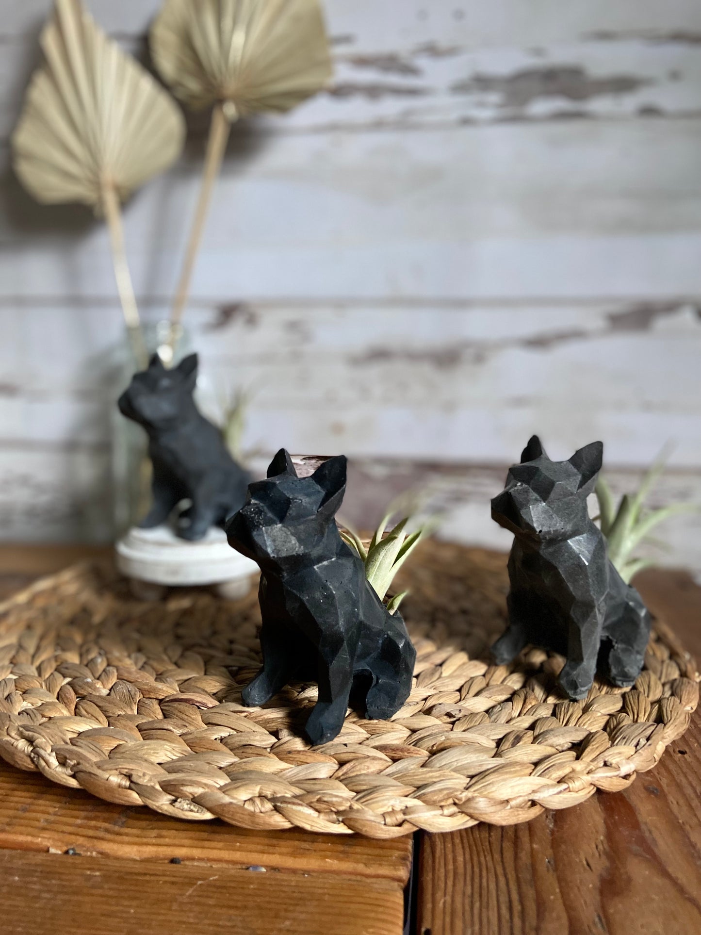 Frenchie Planter