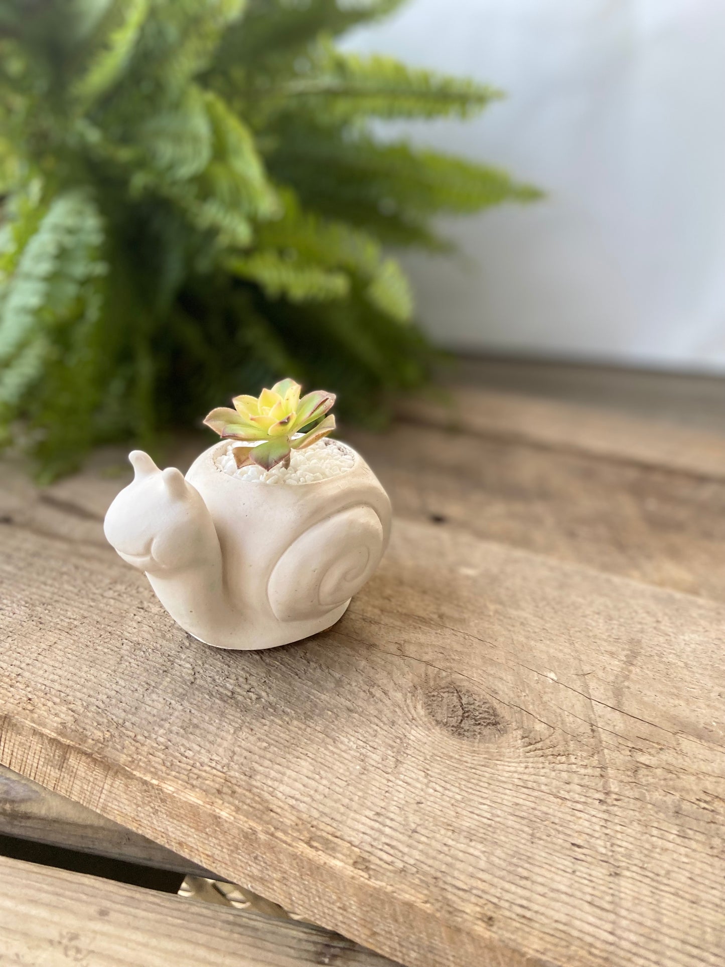 Snail Planter