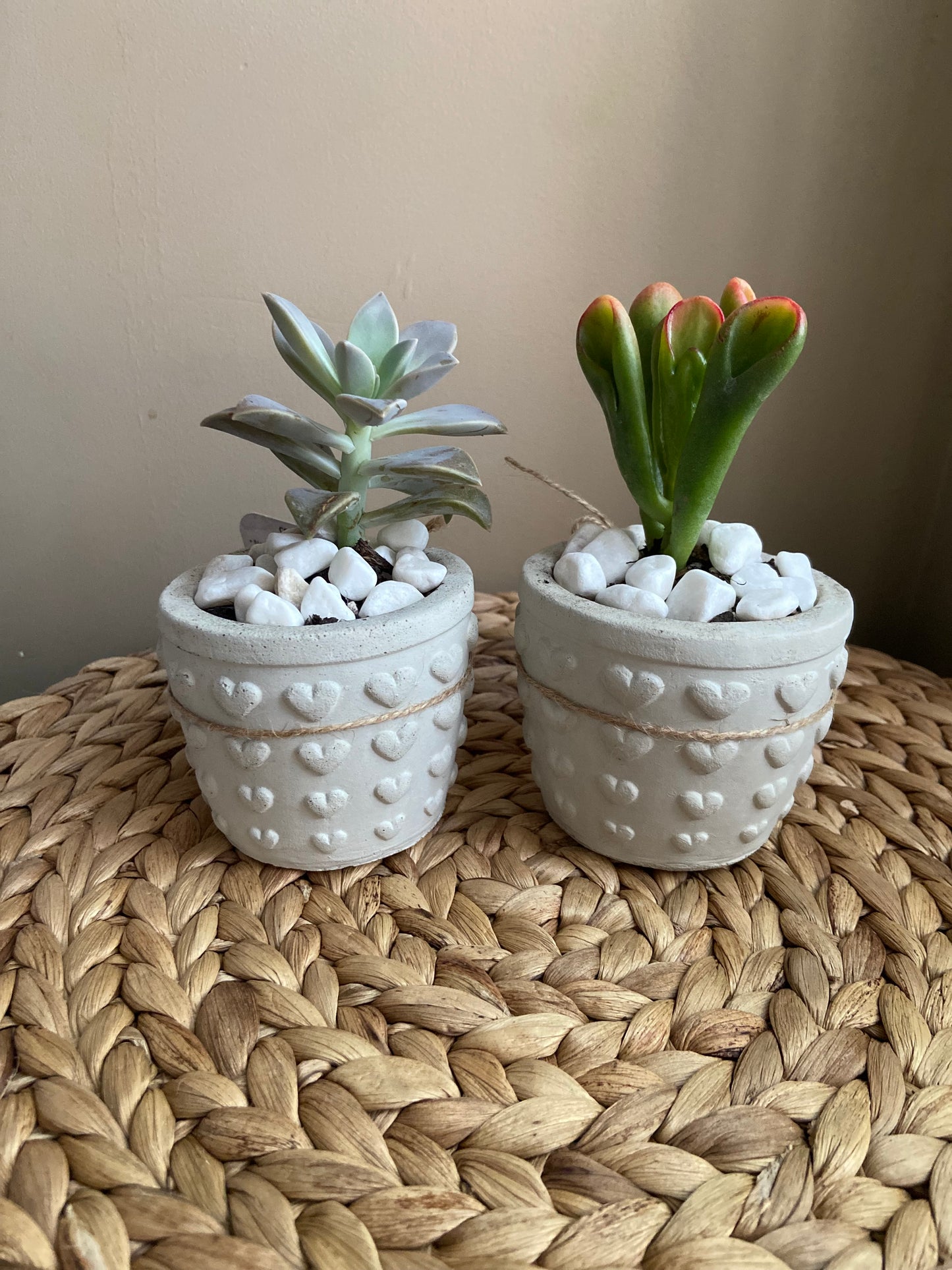 Heart Planter