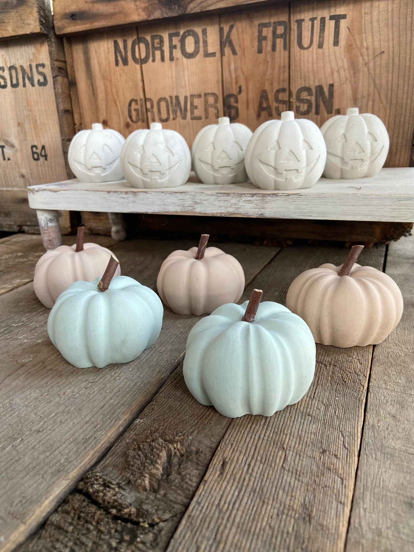 Pumpkin with wood Stem