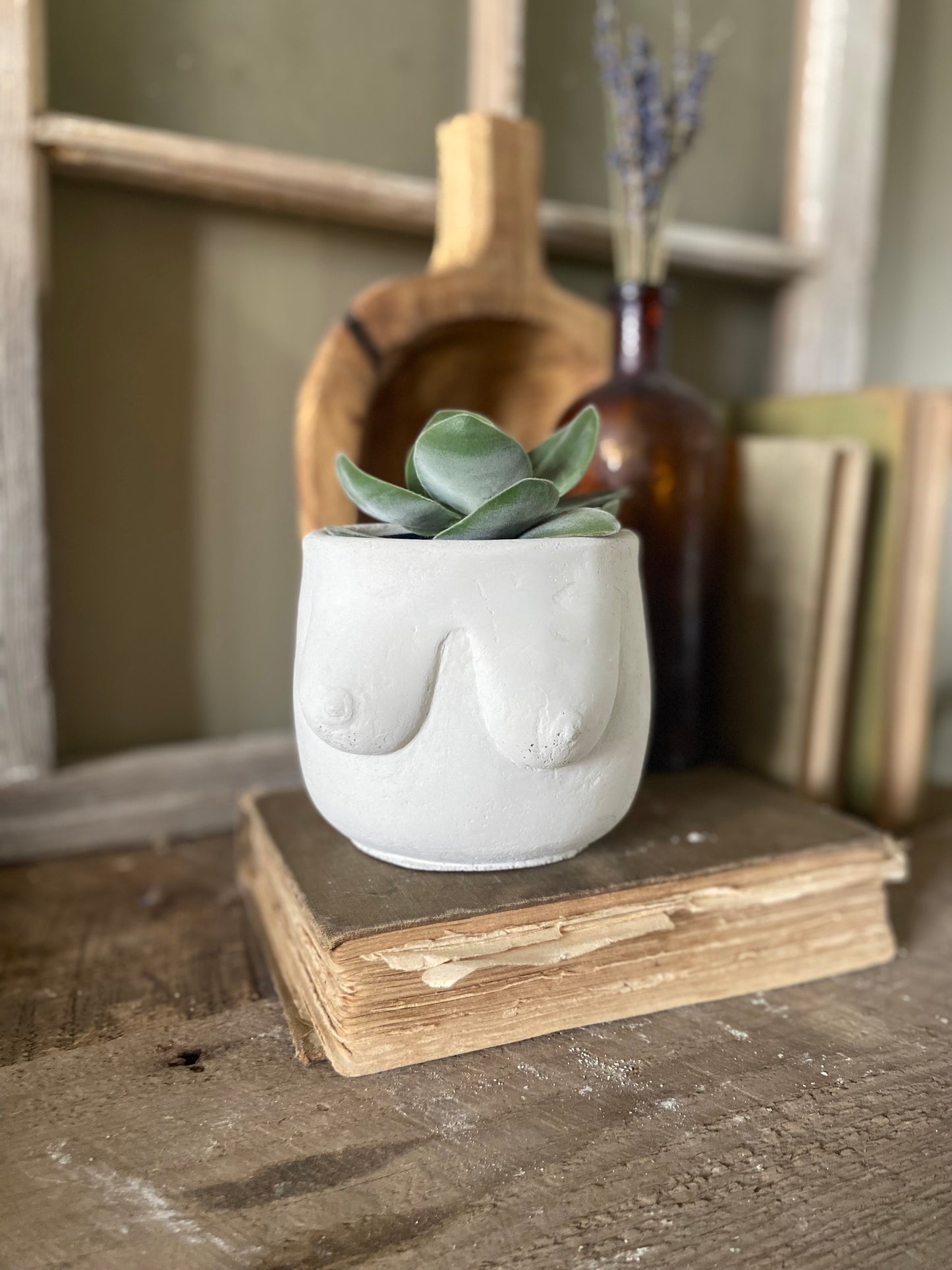 Mom’s fav - Aphrodite Planter