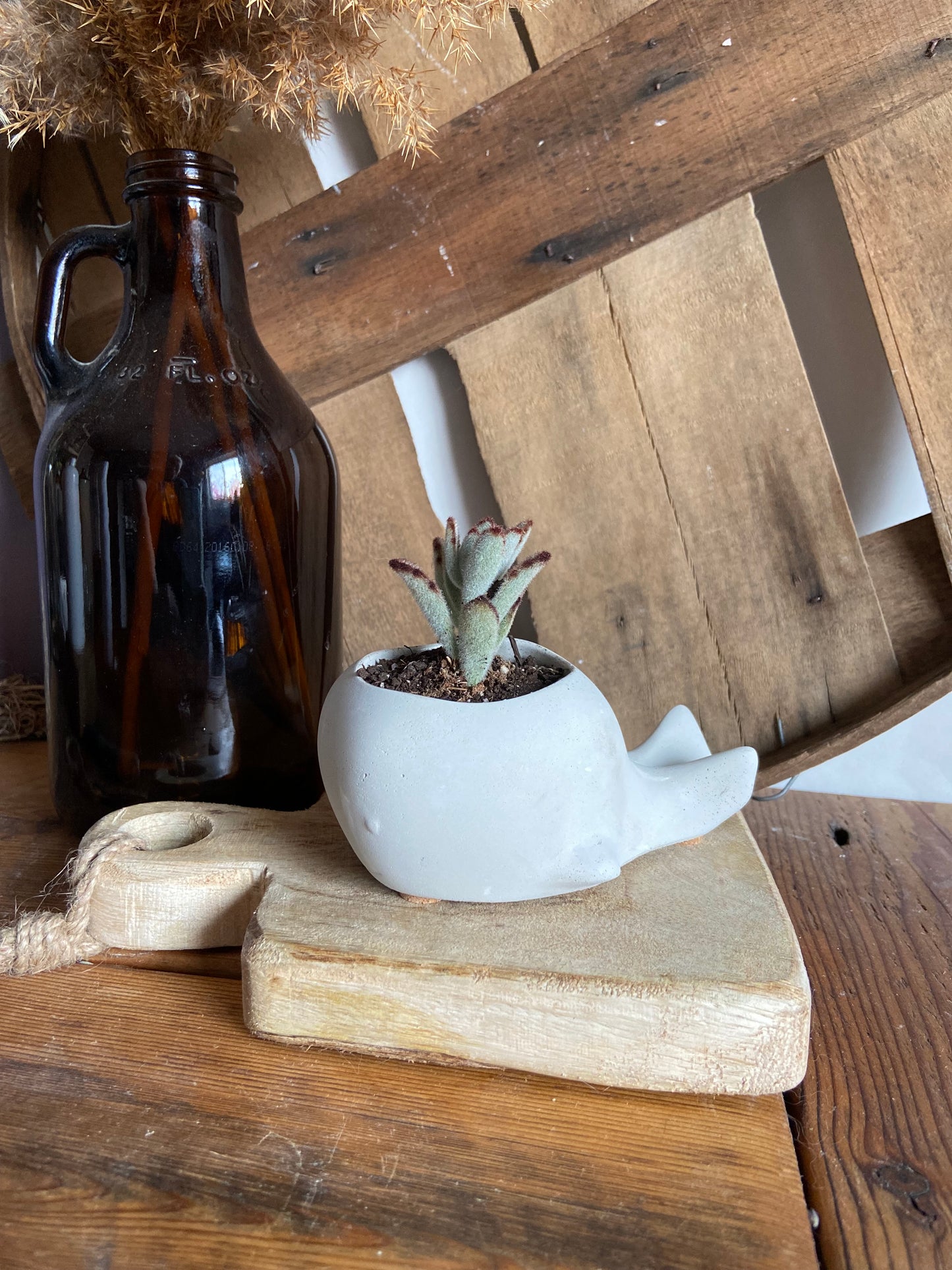 Whale Planter