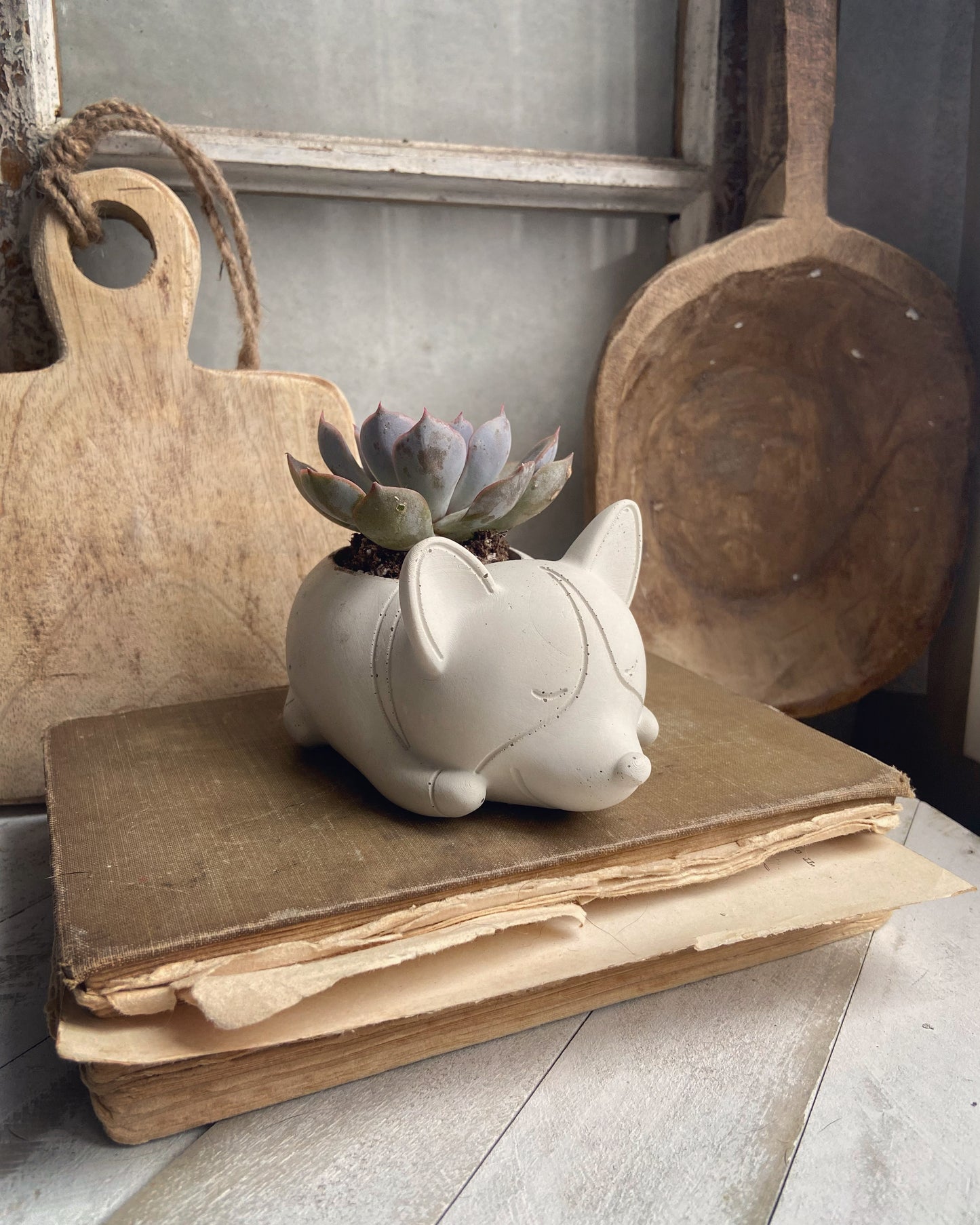 Corgi Planter