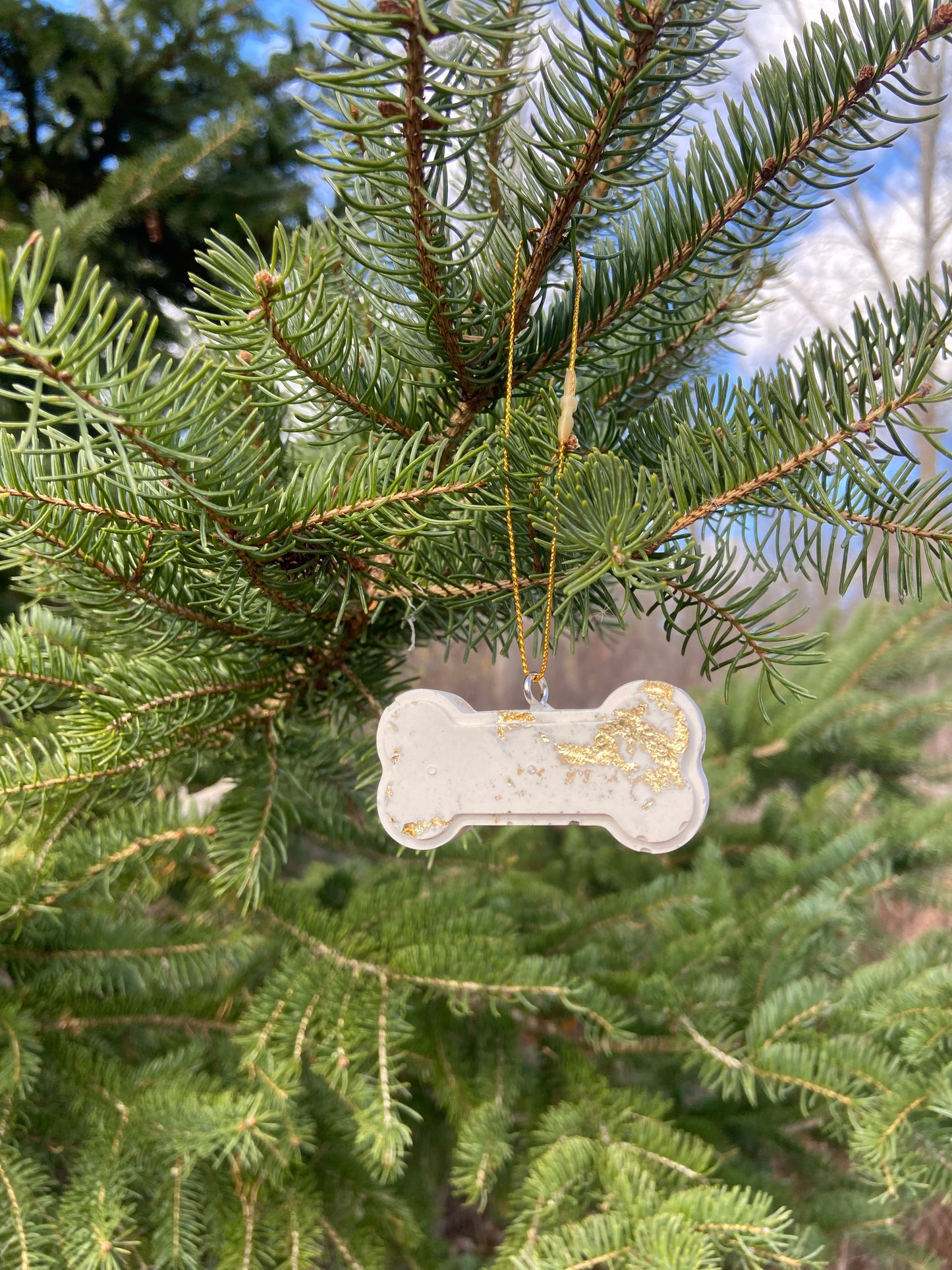 Bone Ornament