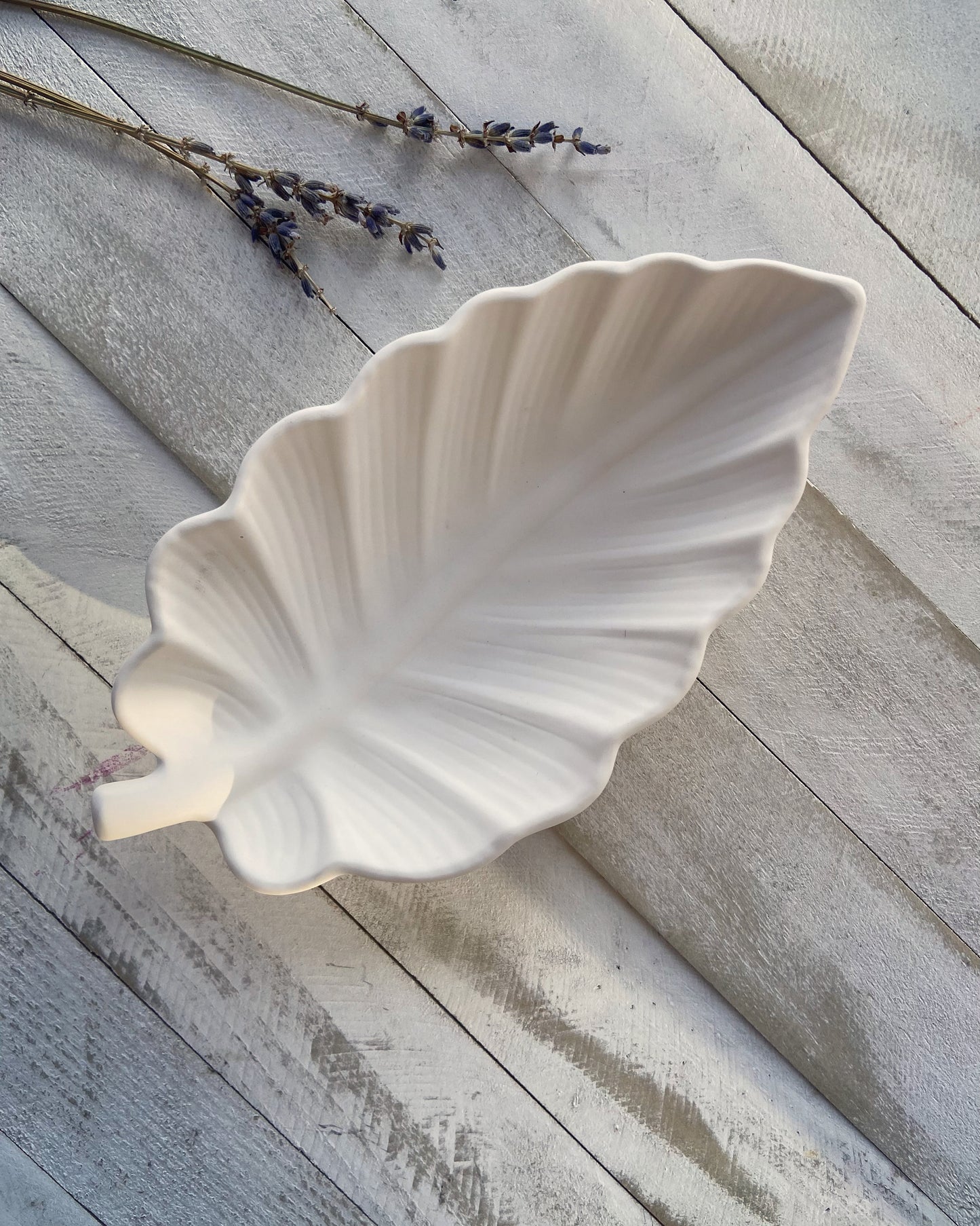 Leaf Tray