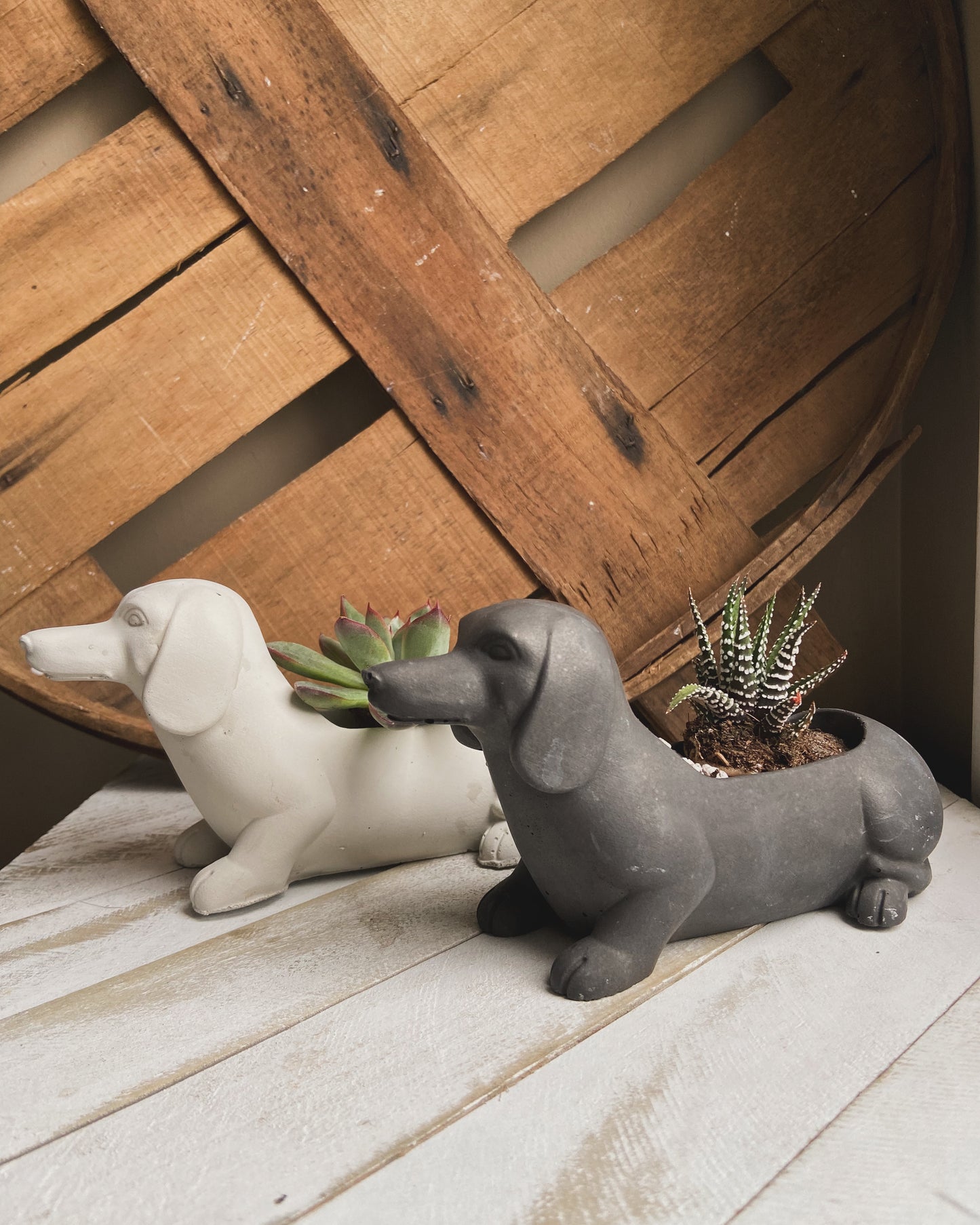 Dachshund Planter