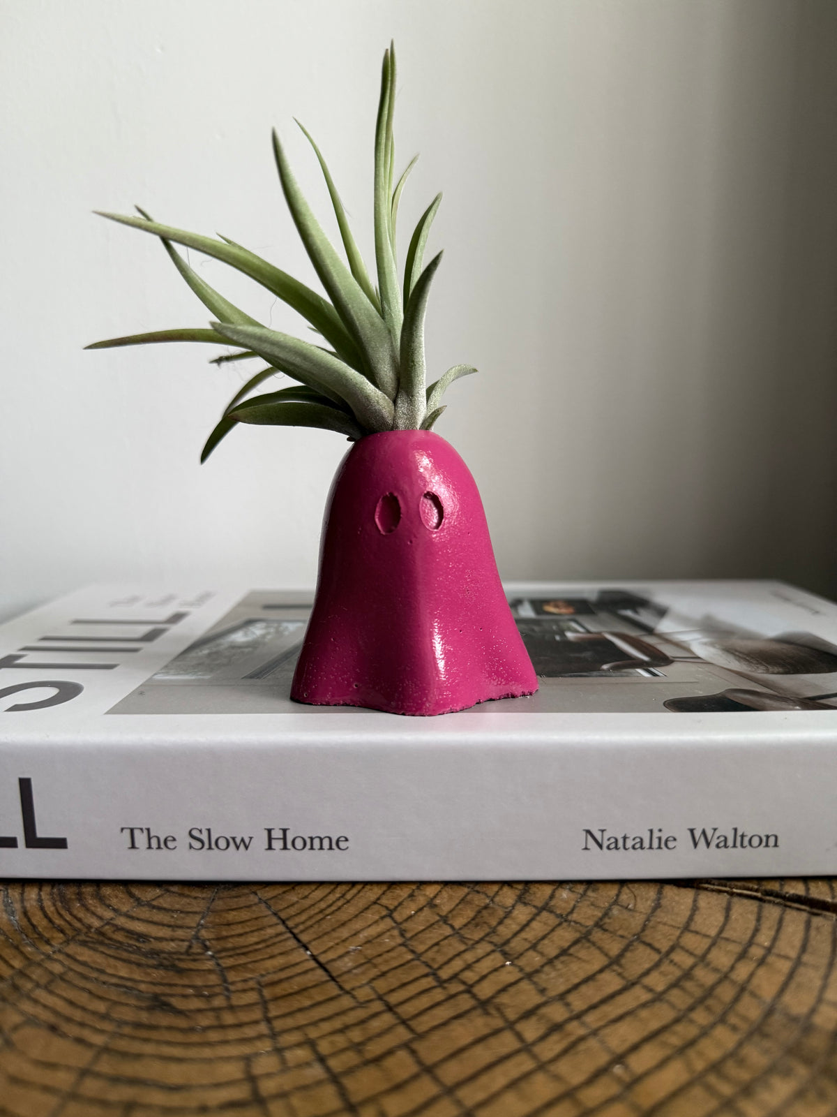 Ghost Air Plant Holder