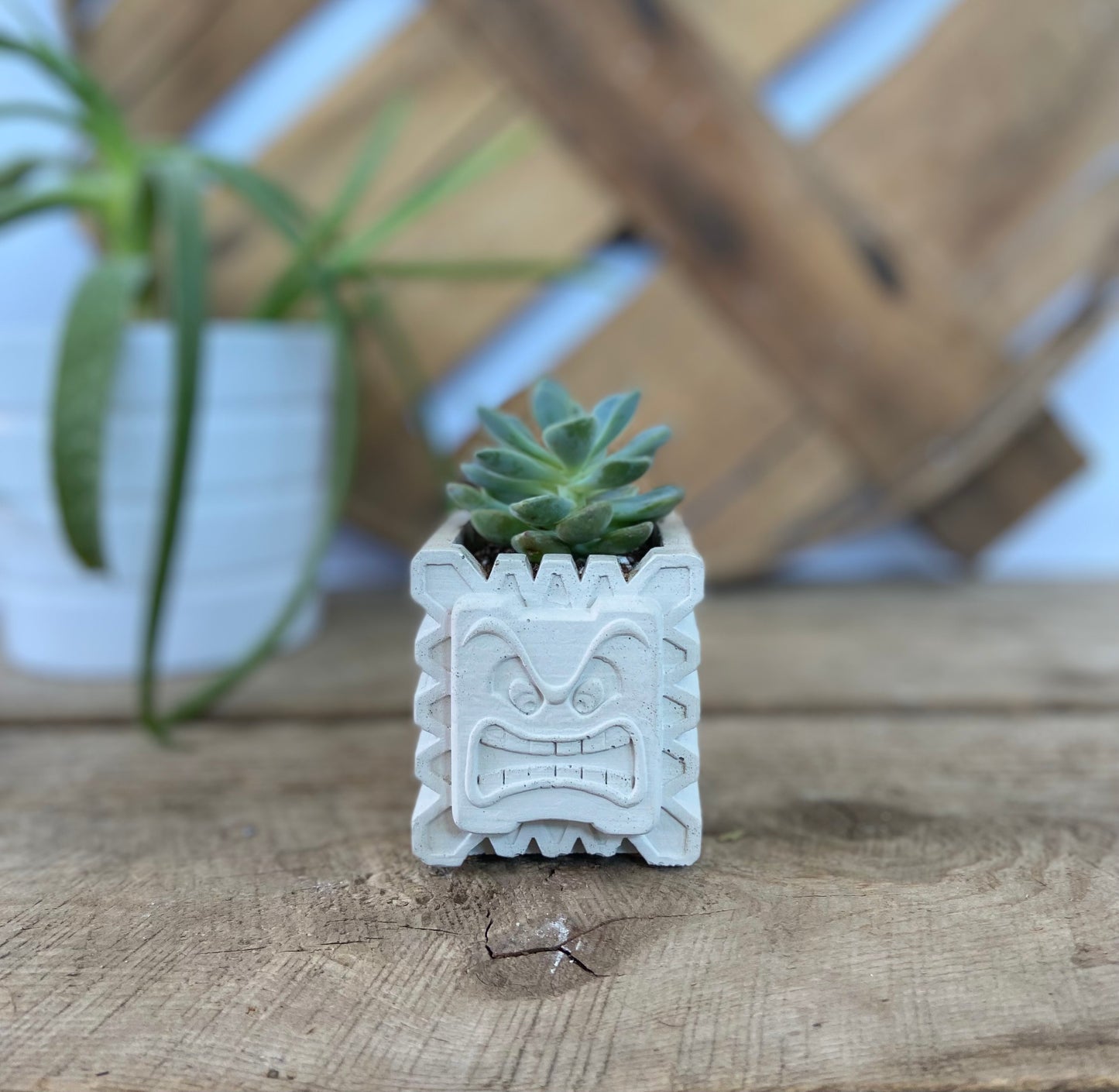 Thump Planter