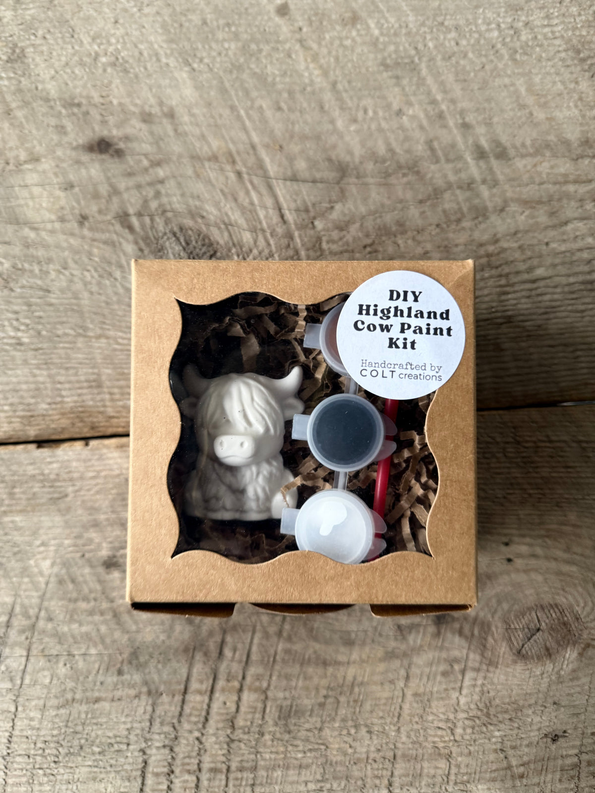 Mini DIY Highland Cow Paint Kit