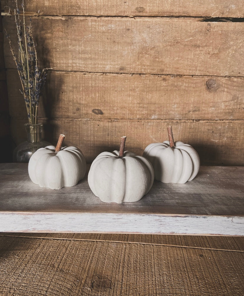 Pumpkin with wood Stem
