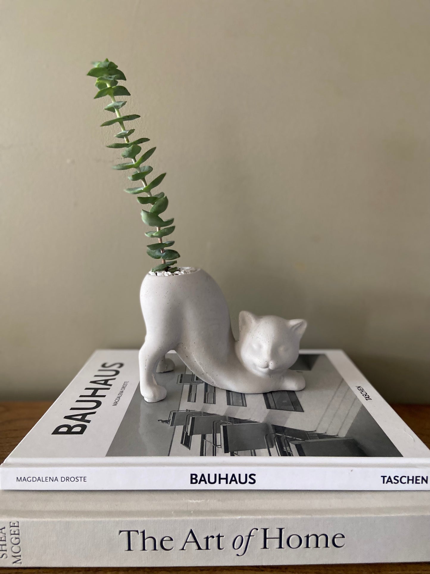Stretching Cat Planter