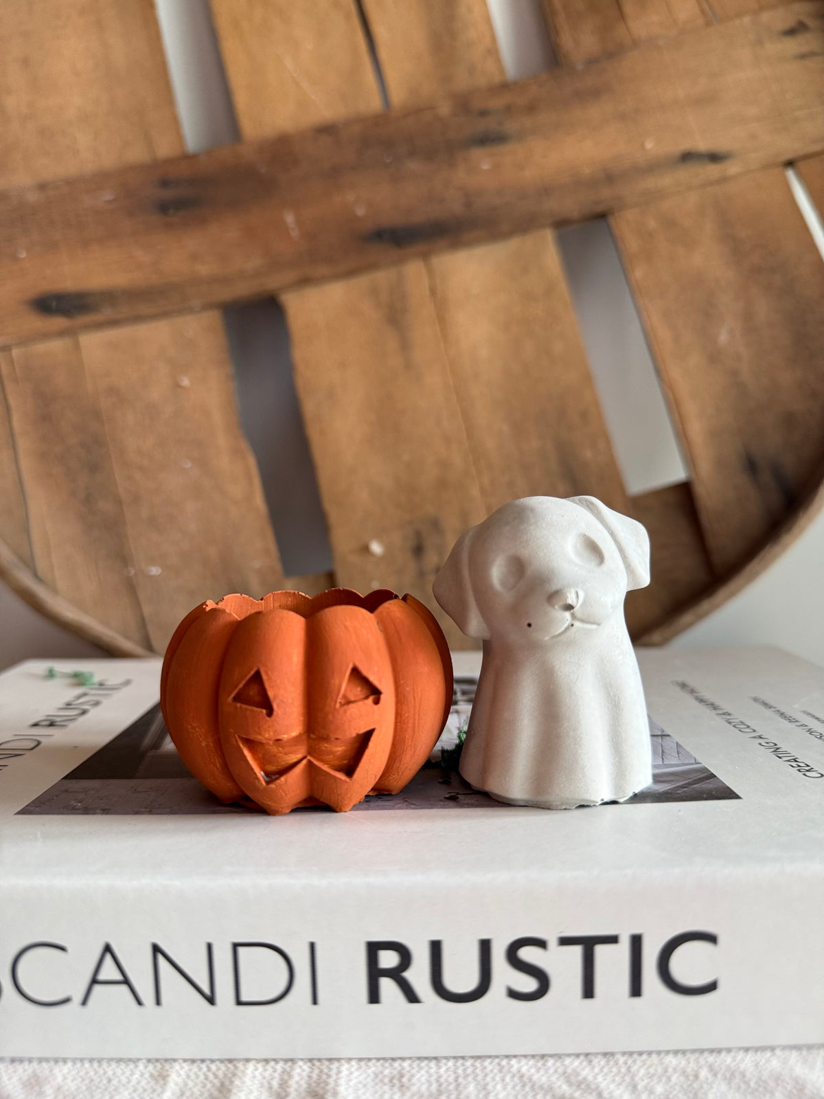 Boo the Pumpkin Cat & Patch the Pumpkin Pup