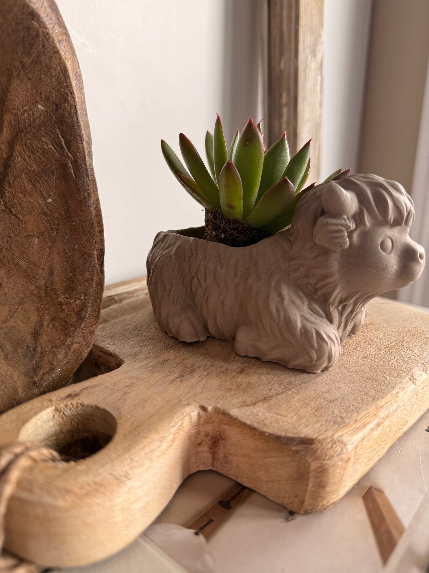 Highland Hank Planter