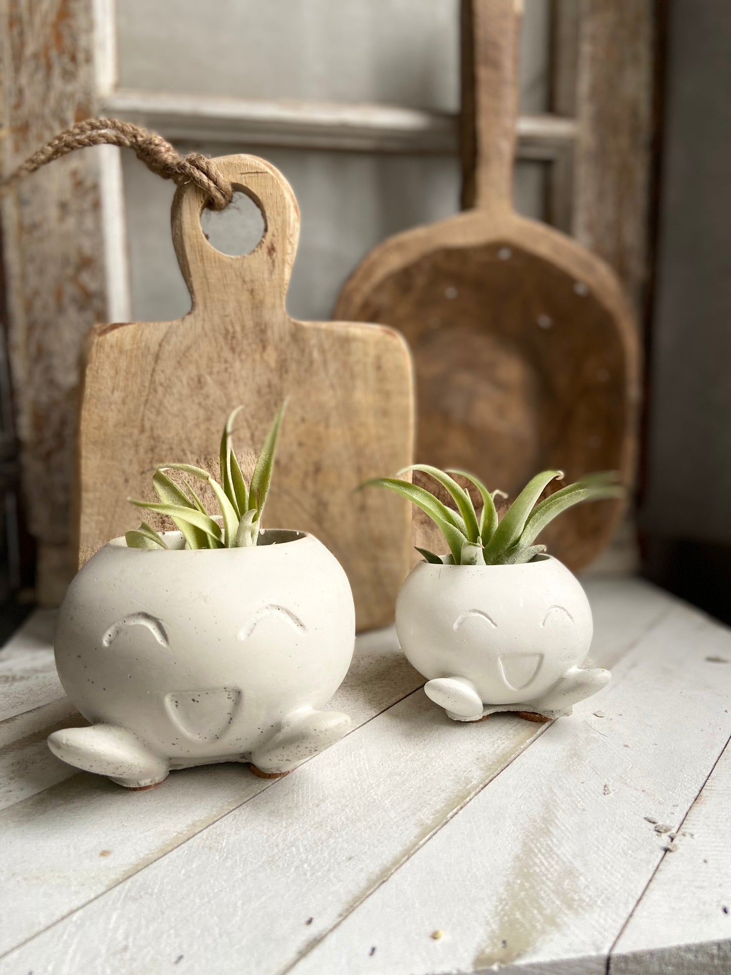 Oddie Planter
