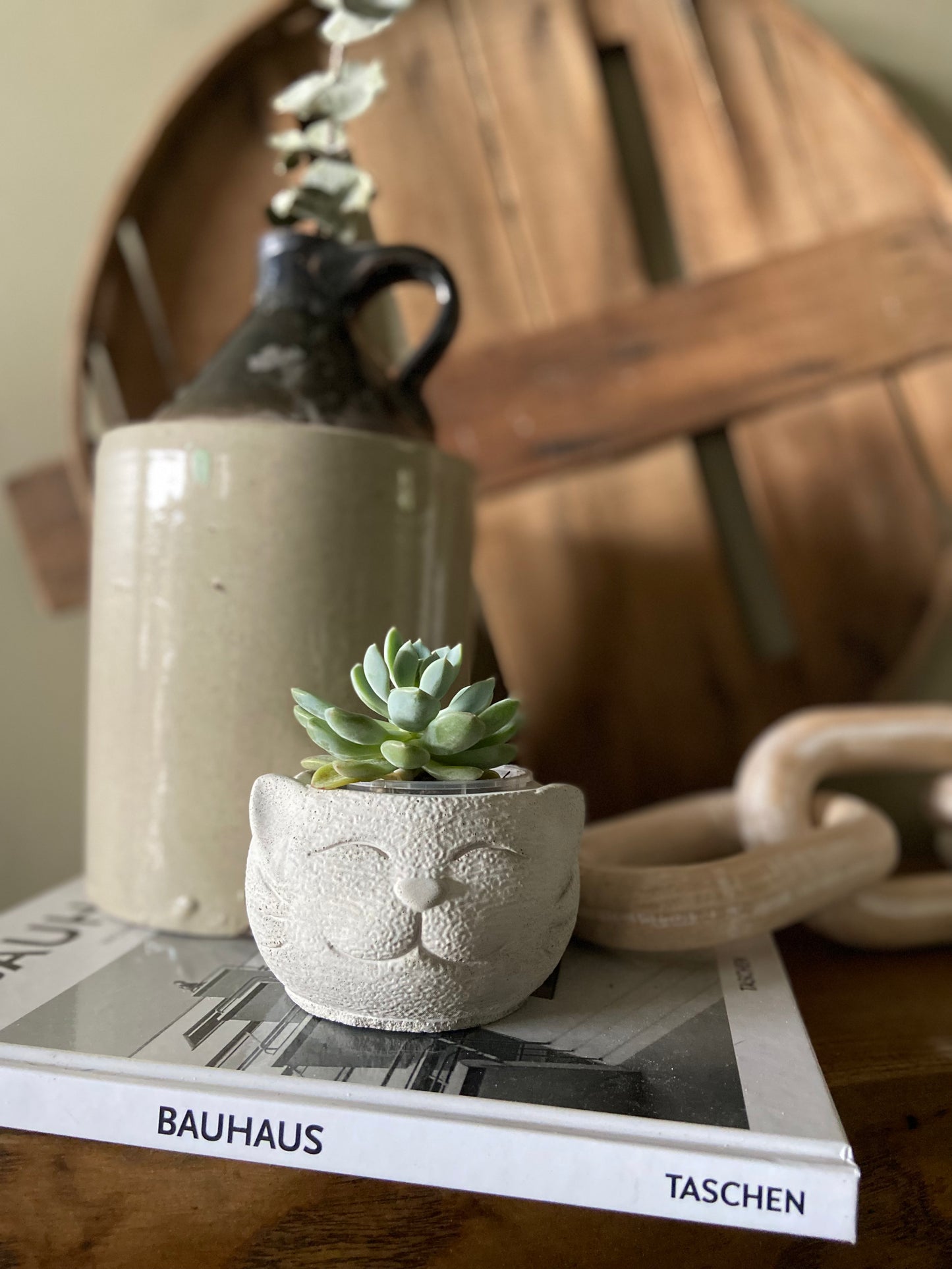 Cat Head Planter