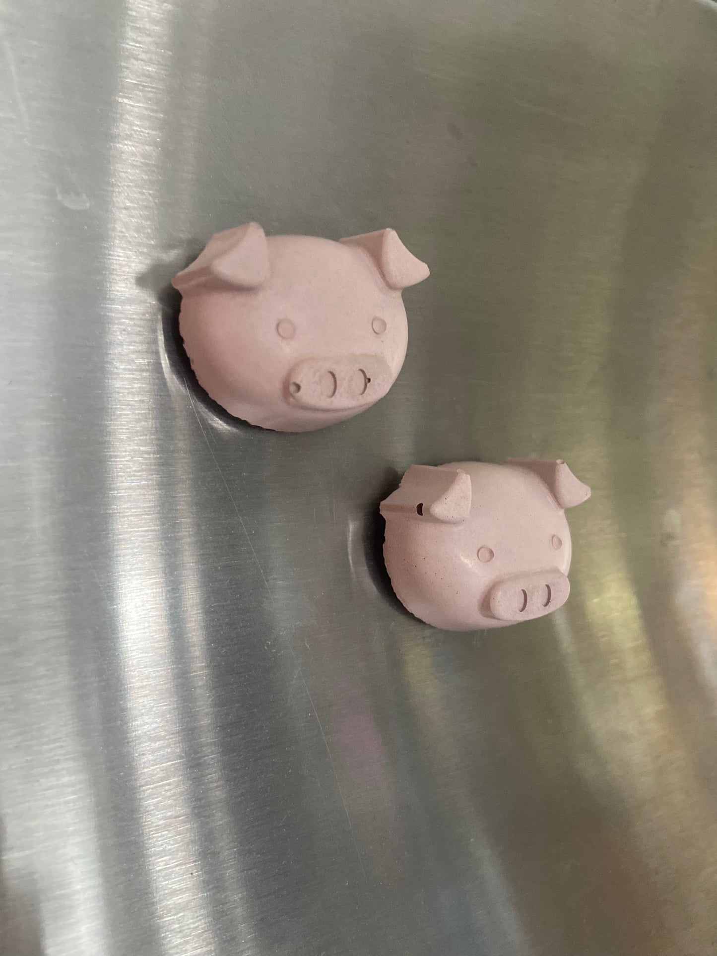 Pig Magent
