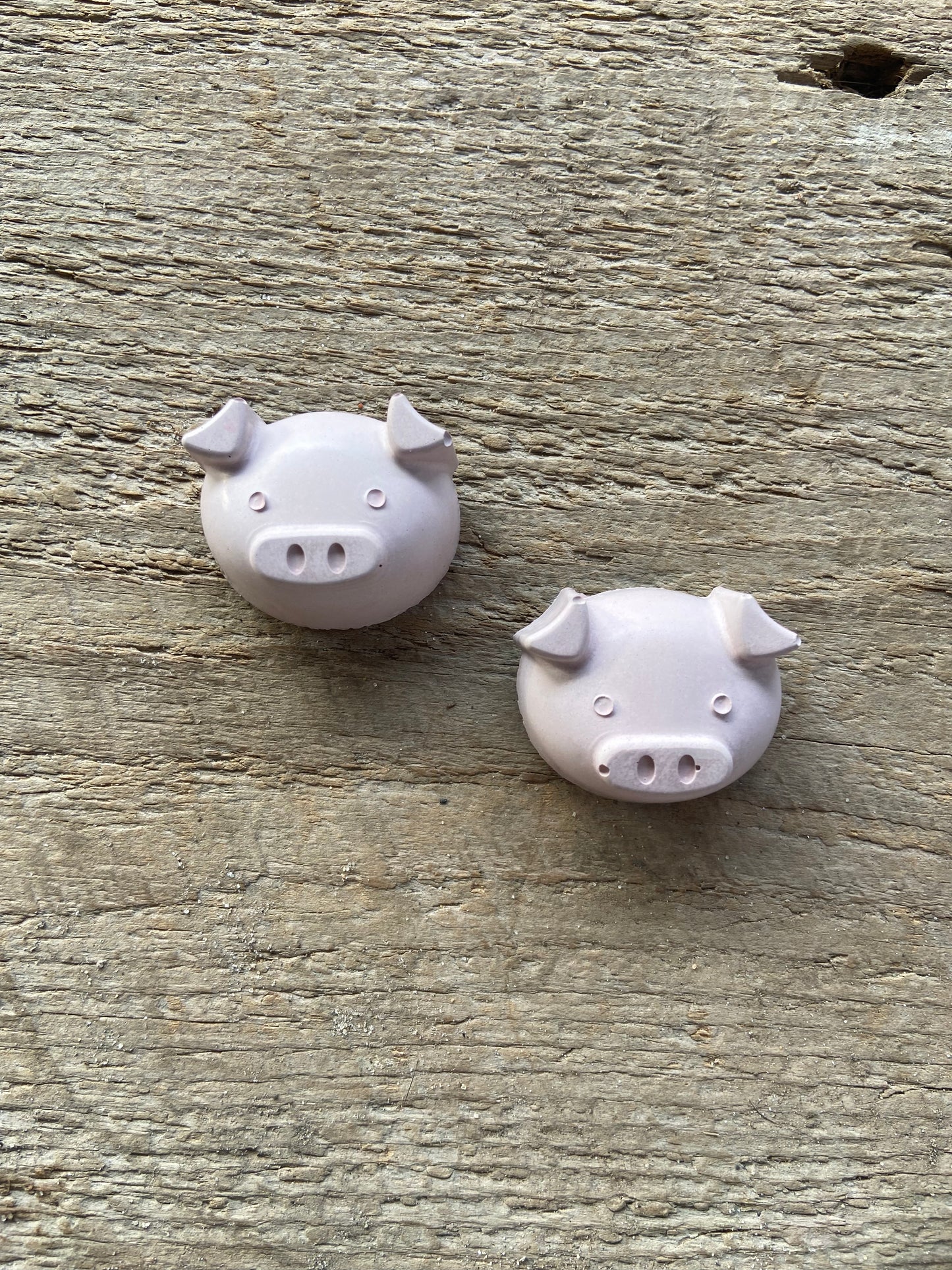 Pig Magent