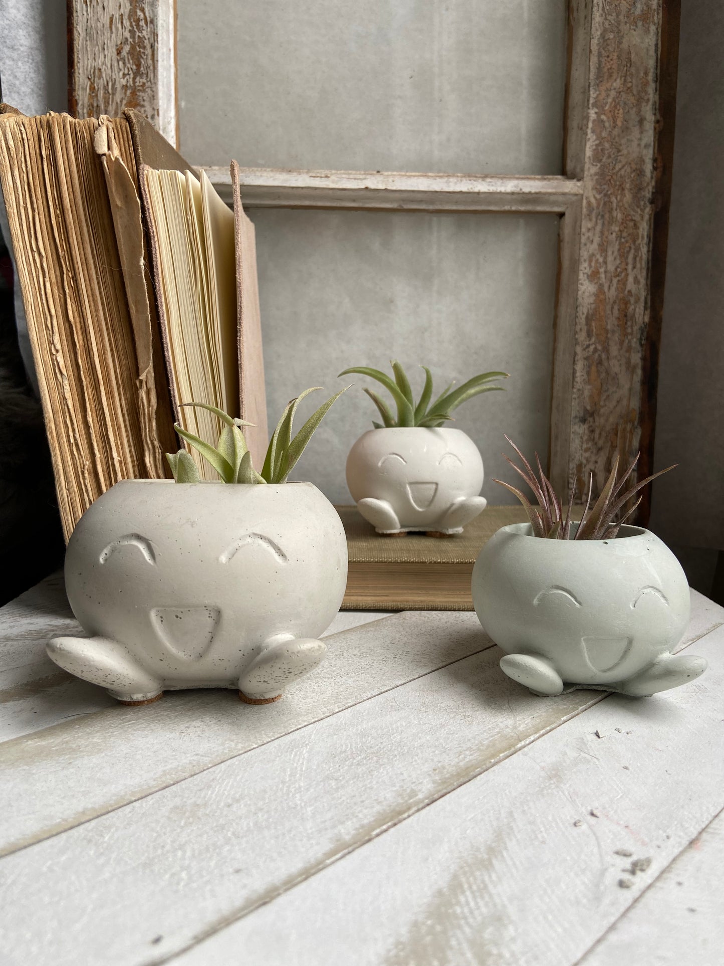 Oddie Planter