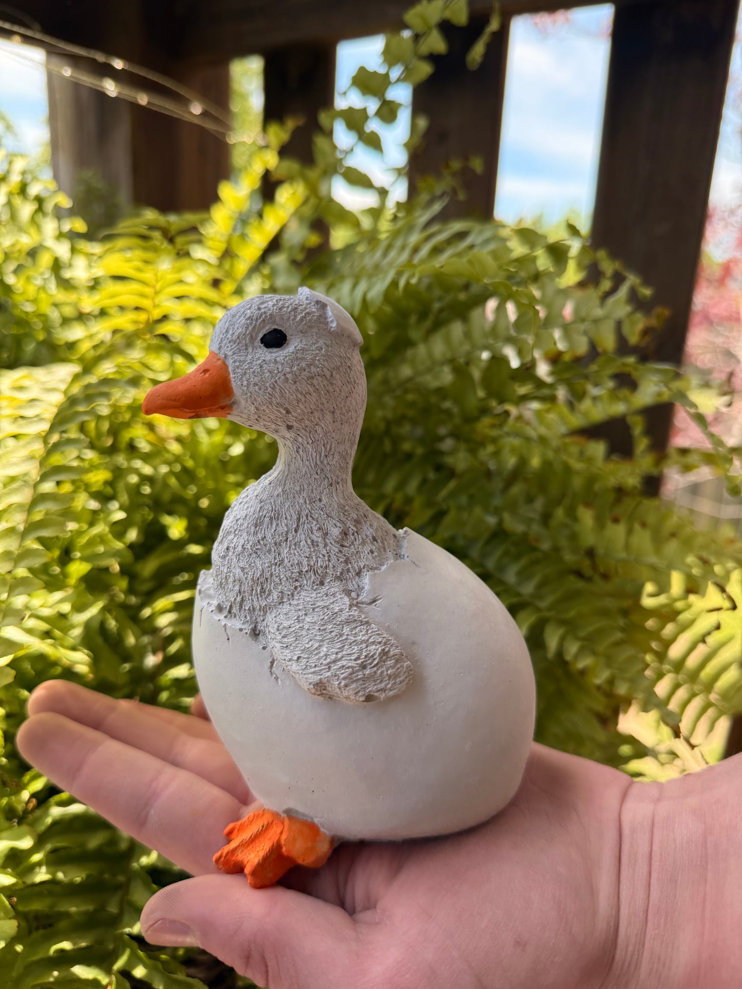 The Porch Goose Hatchling