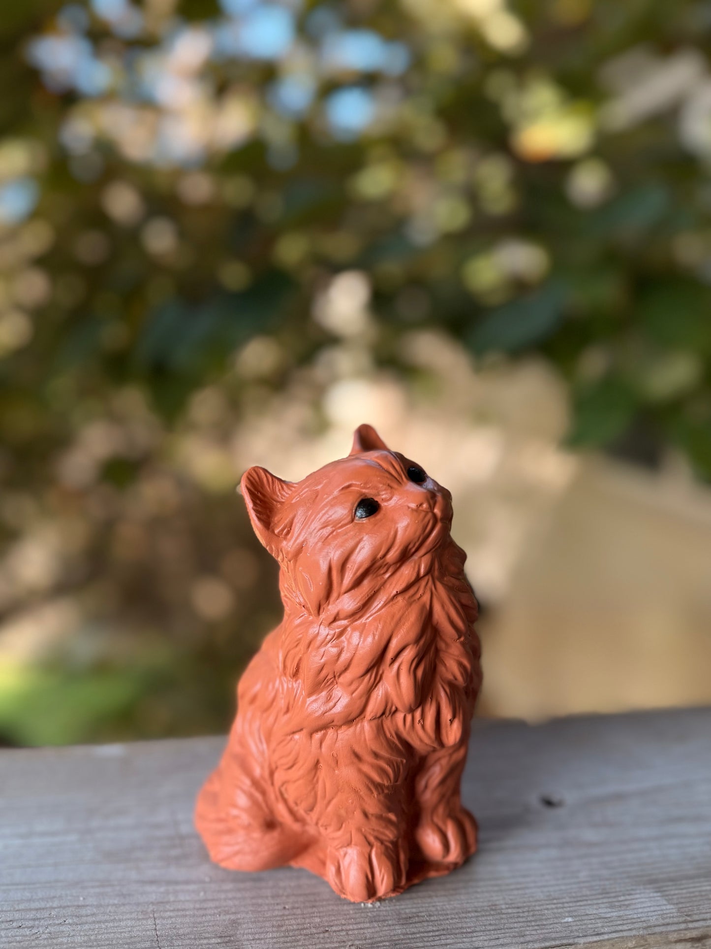 Whiskers Garden Cat