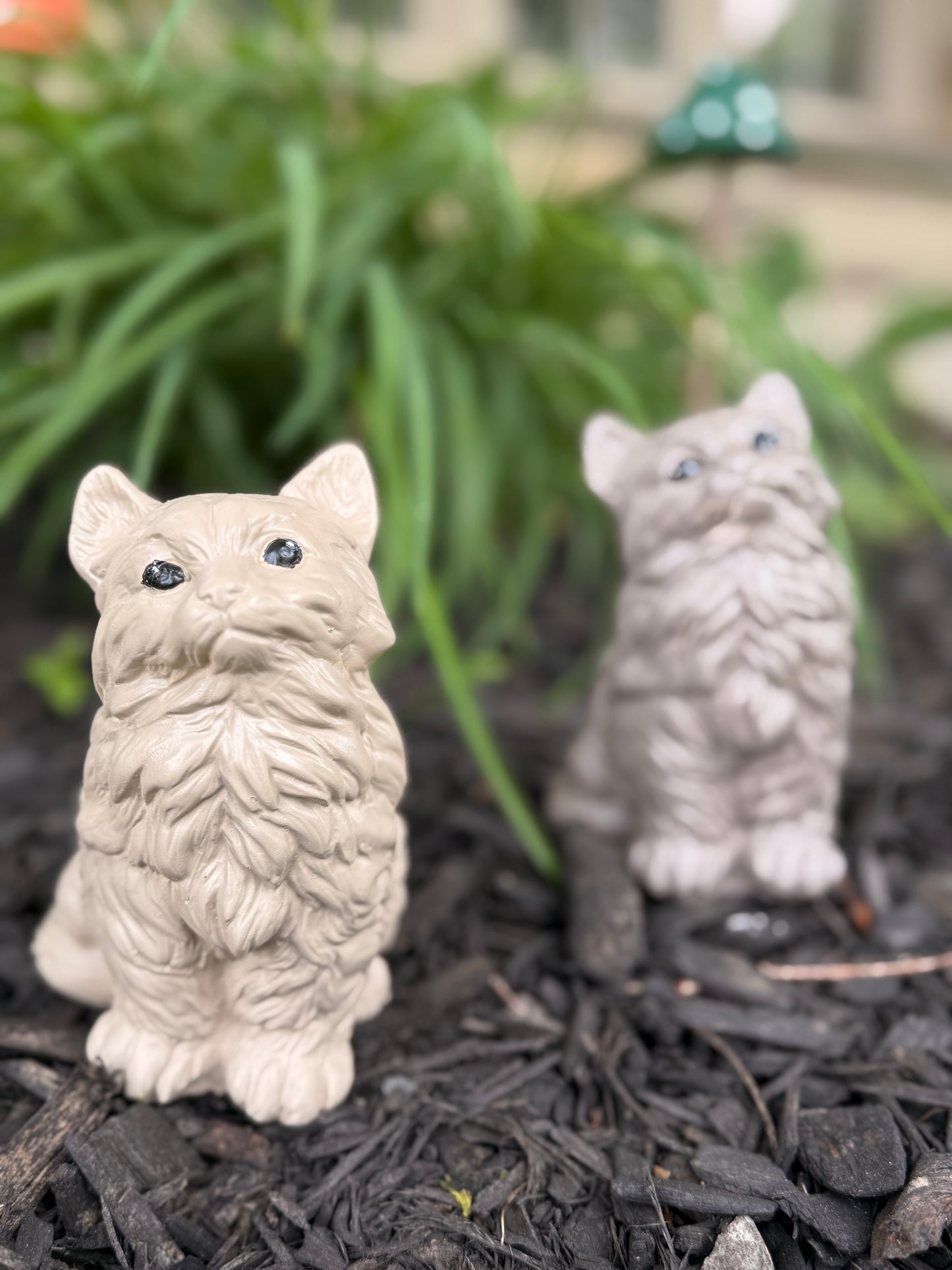 Whiskers Garden Cat