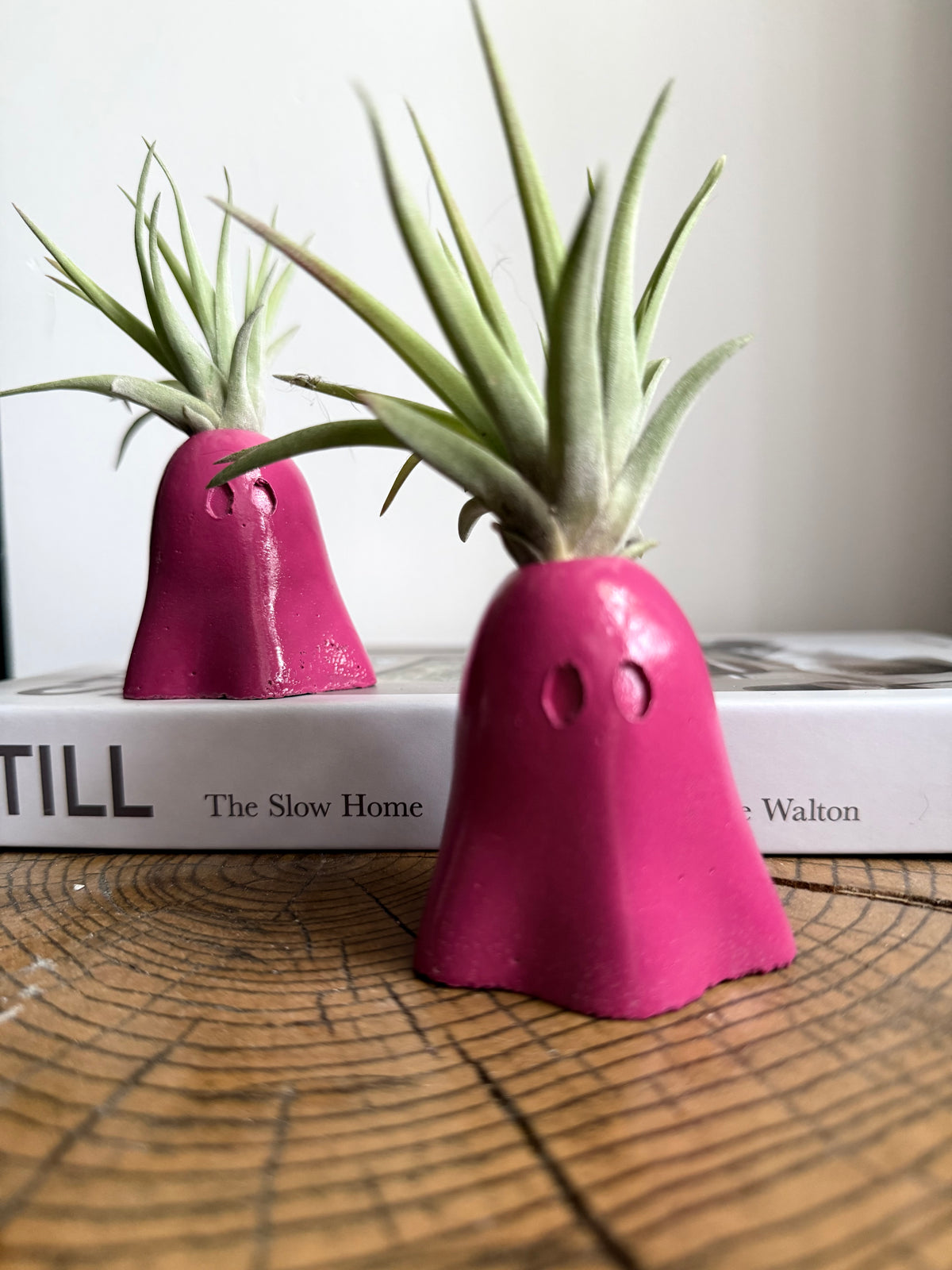 Ghost Air Plant Holder