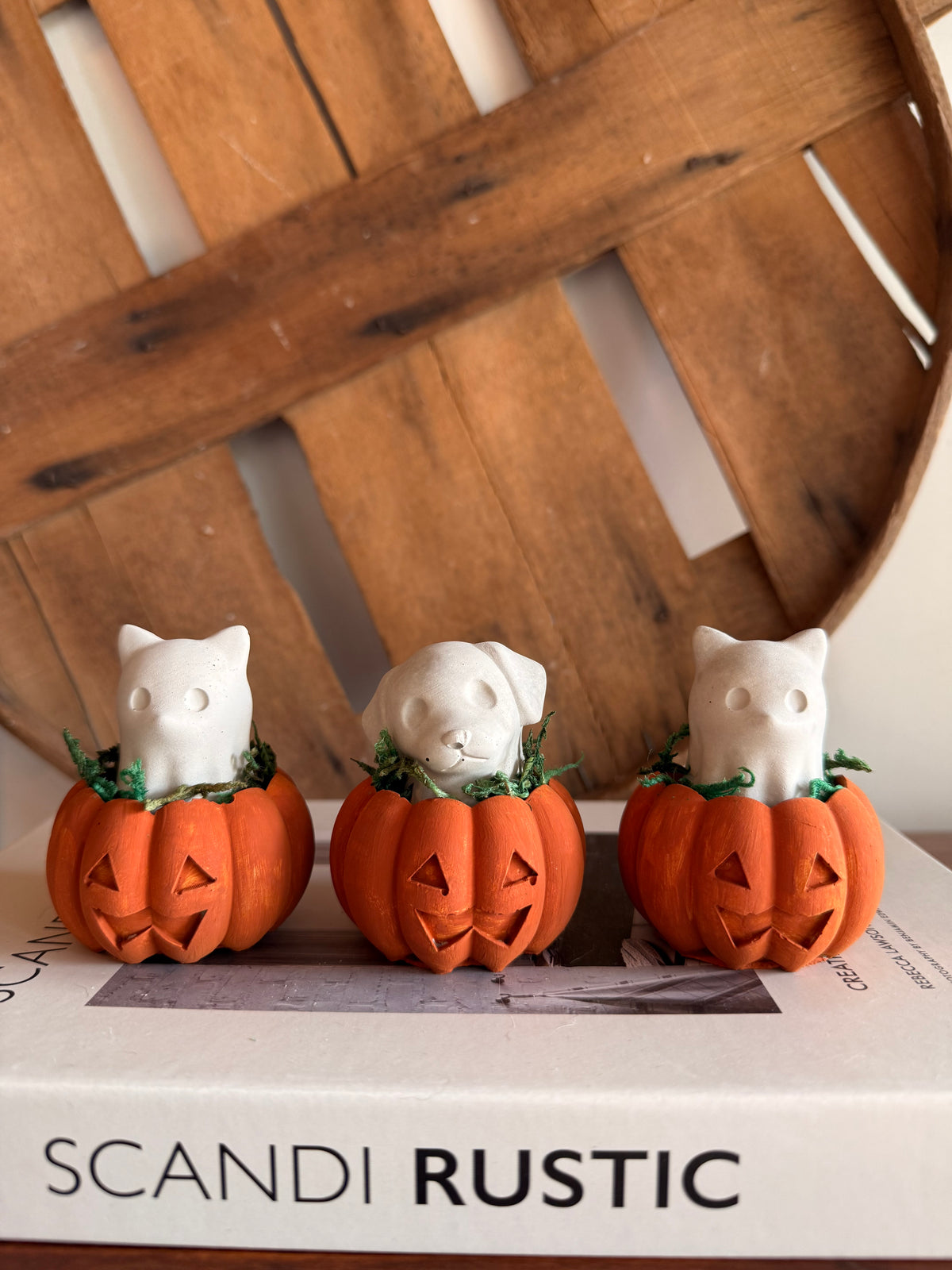 Boo the Pumpkin Cat & Patch the Pumpkin Pup