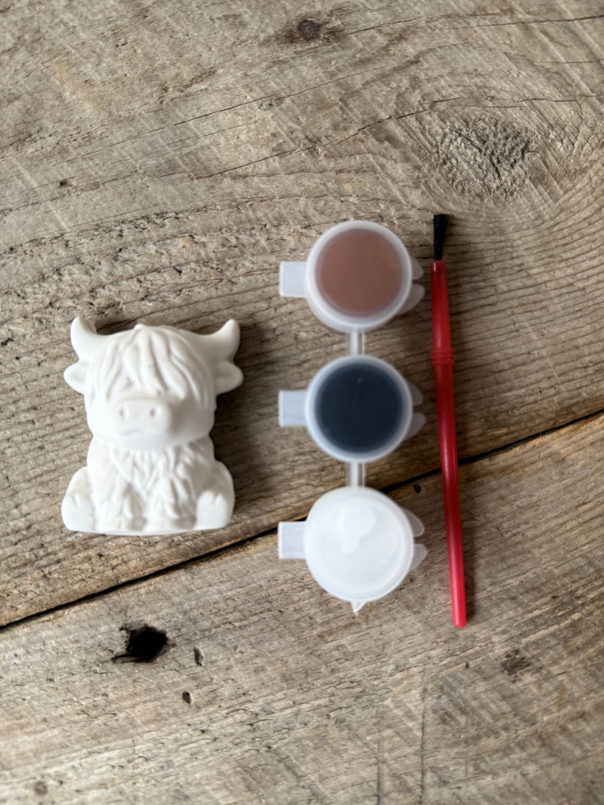 Mini DIY Highland Cow Paint Kit