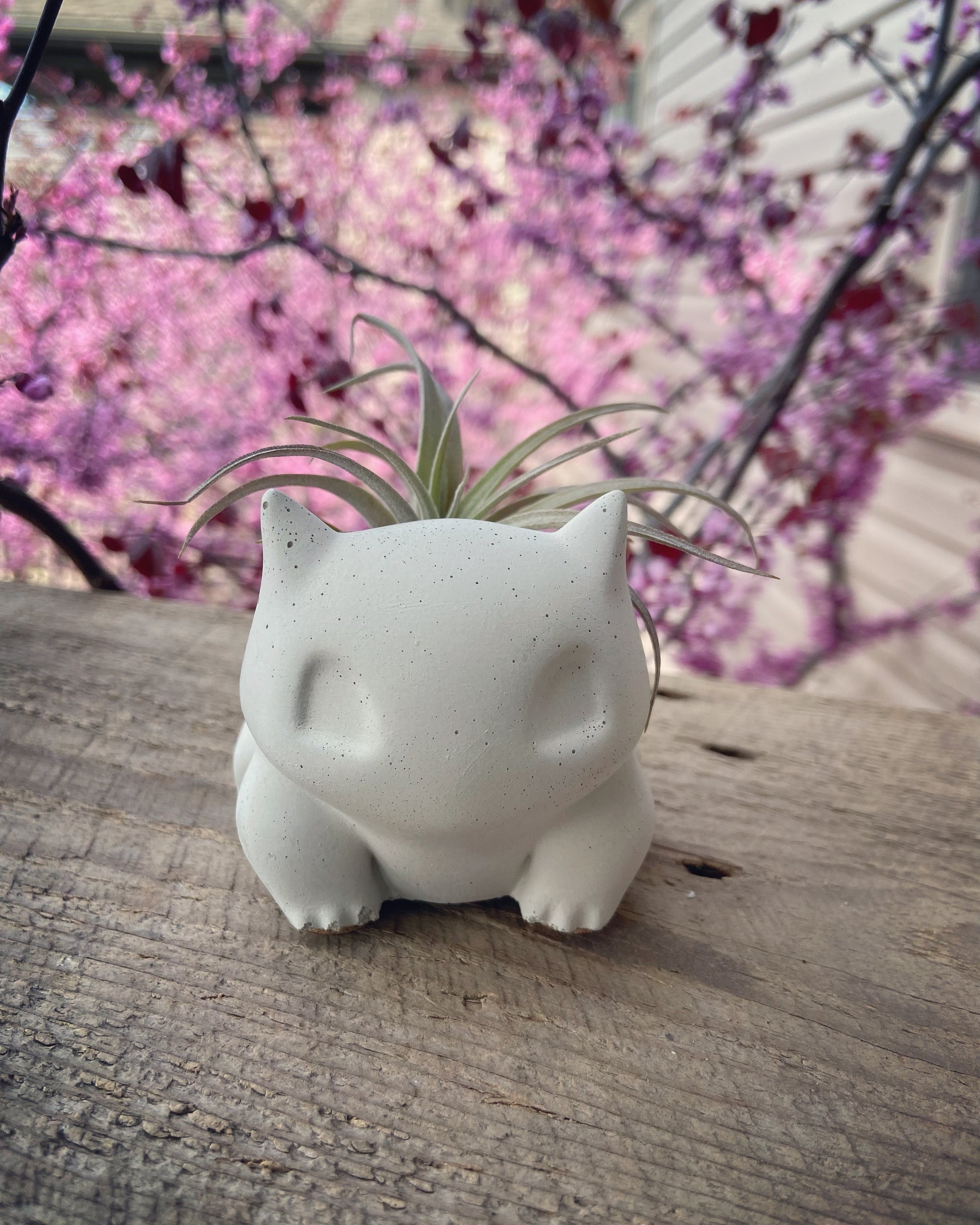 bulbasaur air plant Sprout Planter - air plant