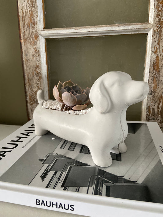 Dachshund Planter