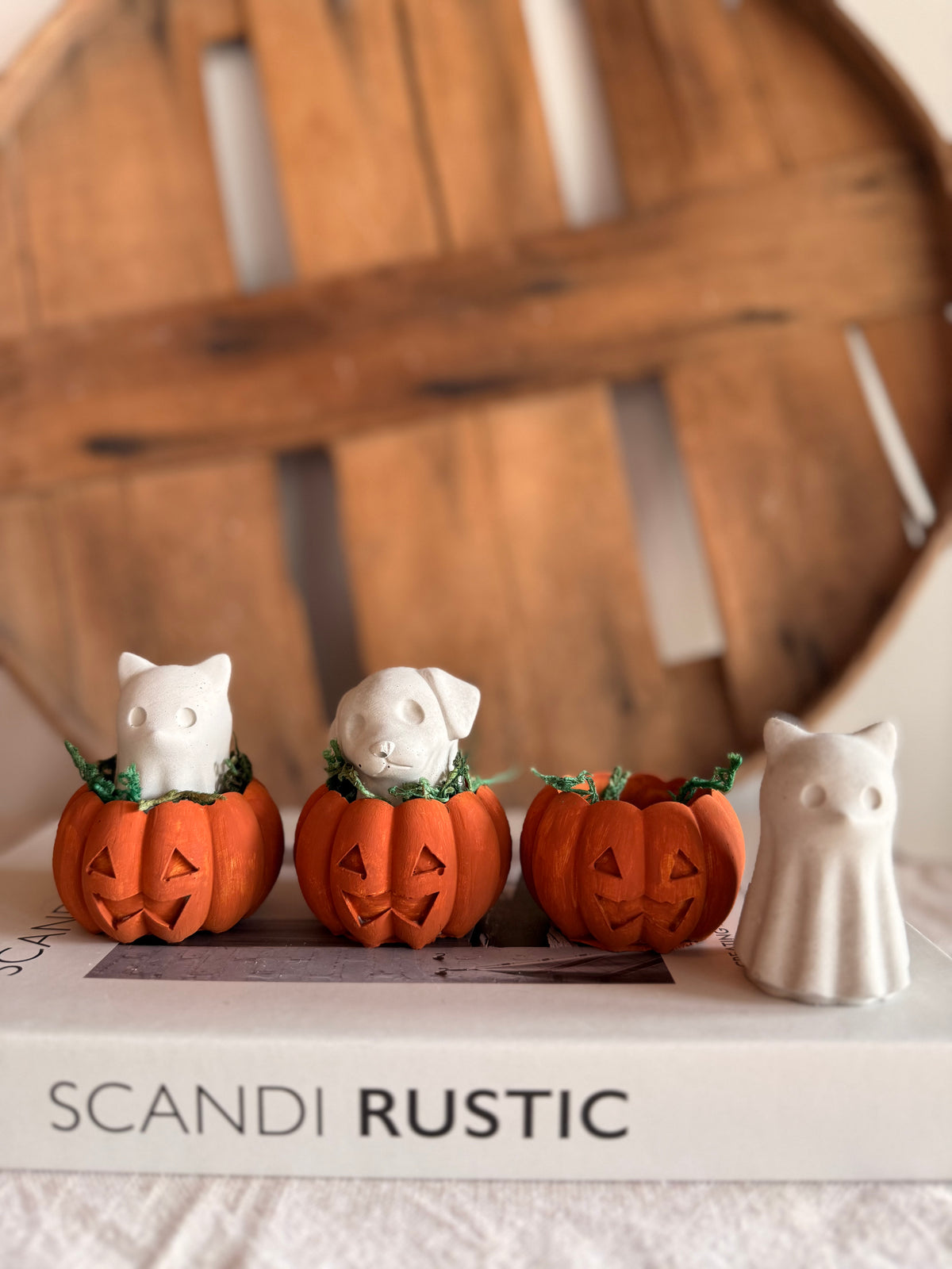 Boo the Pumpkin Cat & Patch the Pumpkin Pup