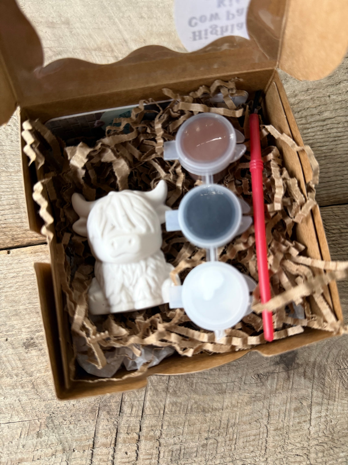 Mini DIY Highland Cow Paint Kit