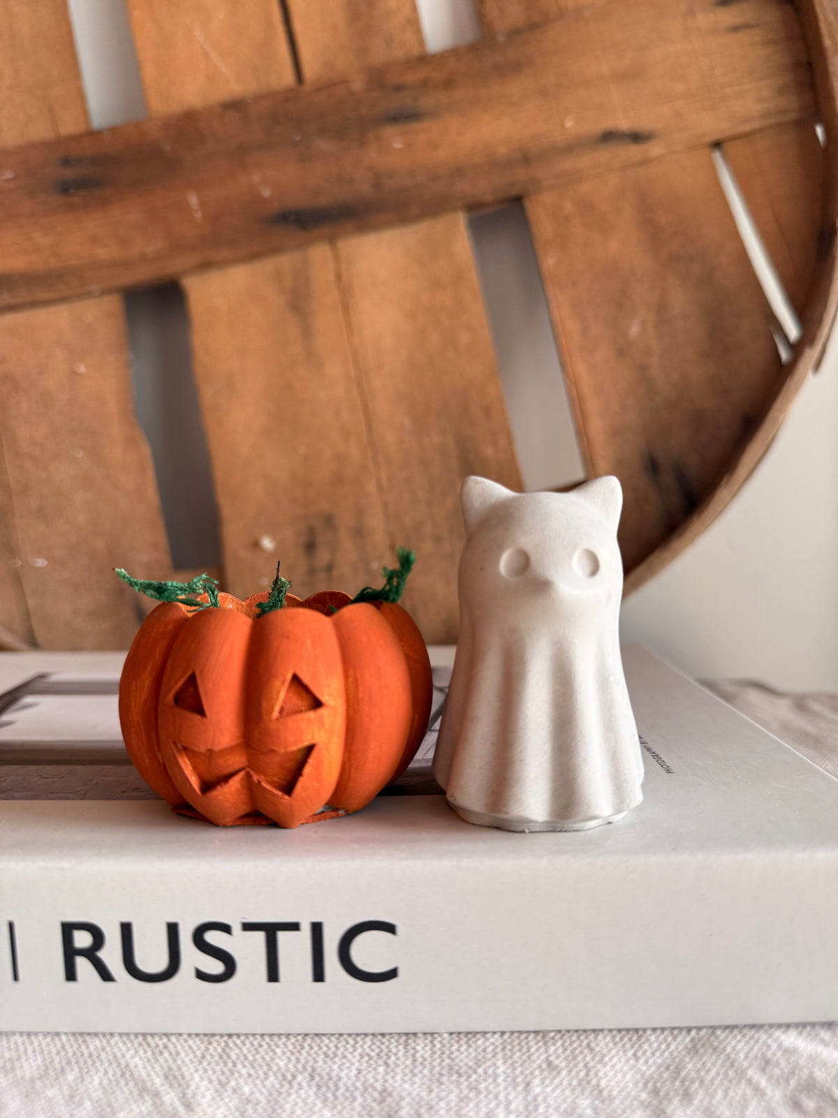 Boo the Pumpkin Cat & Patch the Pumpkin Pup
