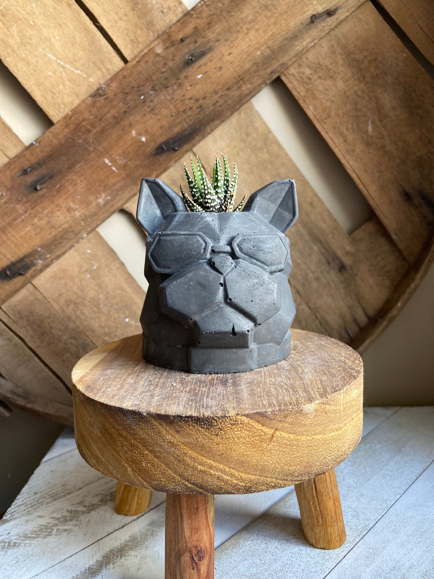 Frenchie Head Planter