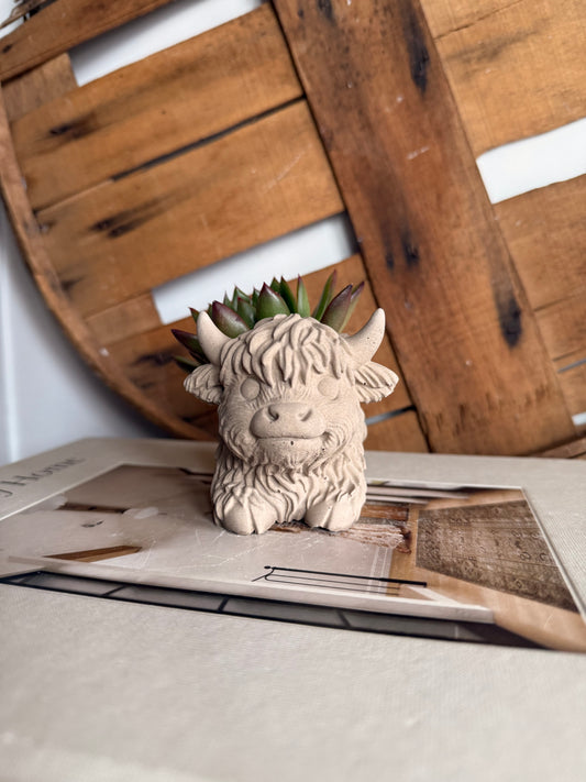 Clover the Highland Cow Planter