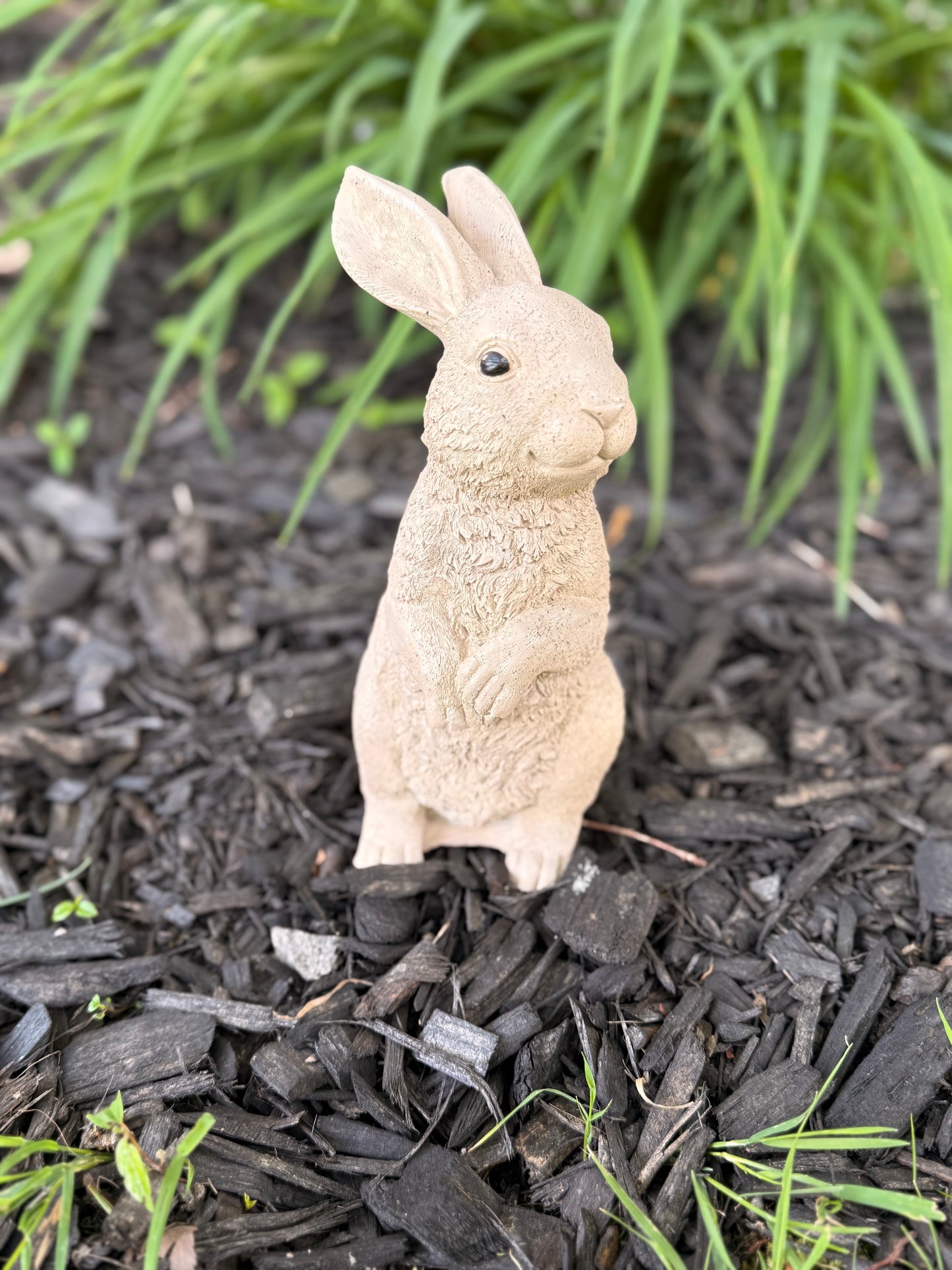 Cottontail Garden Bunny
