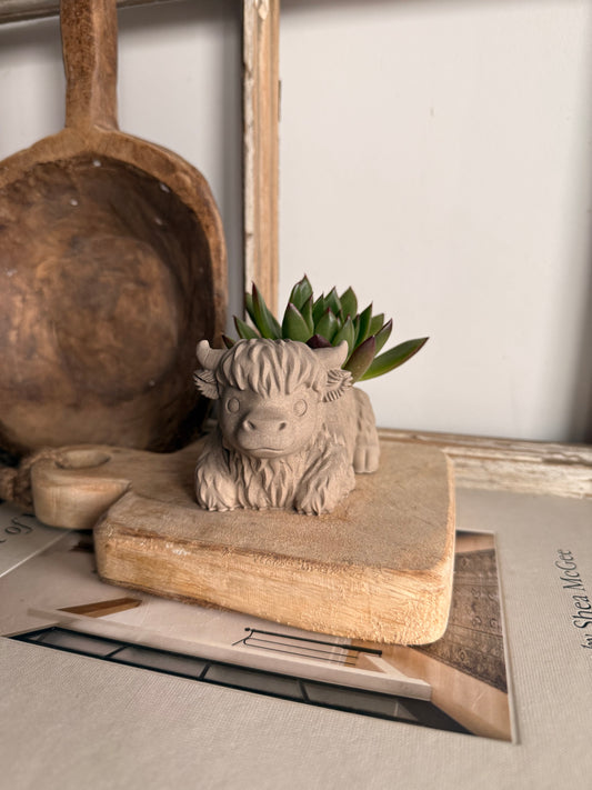 Highland Hank Planter