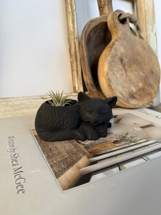 The Sleepy Cat Planter