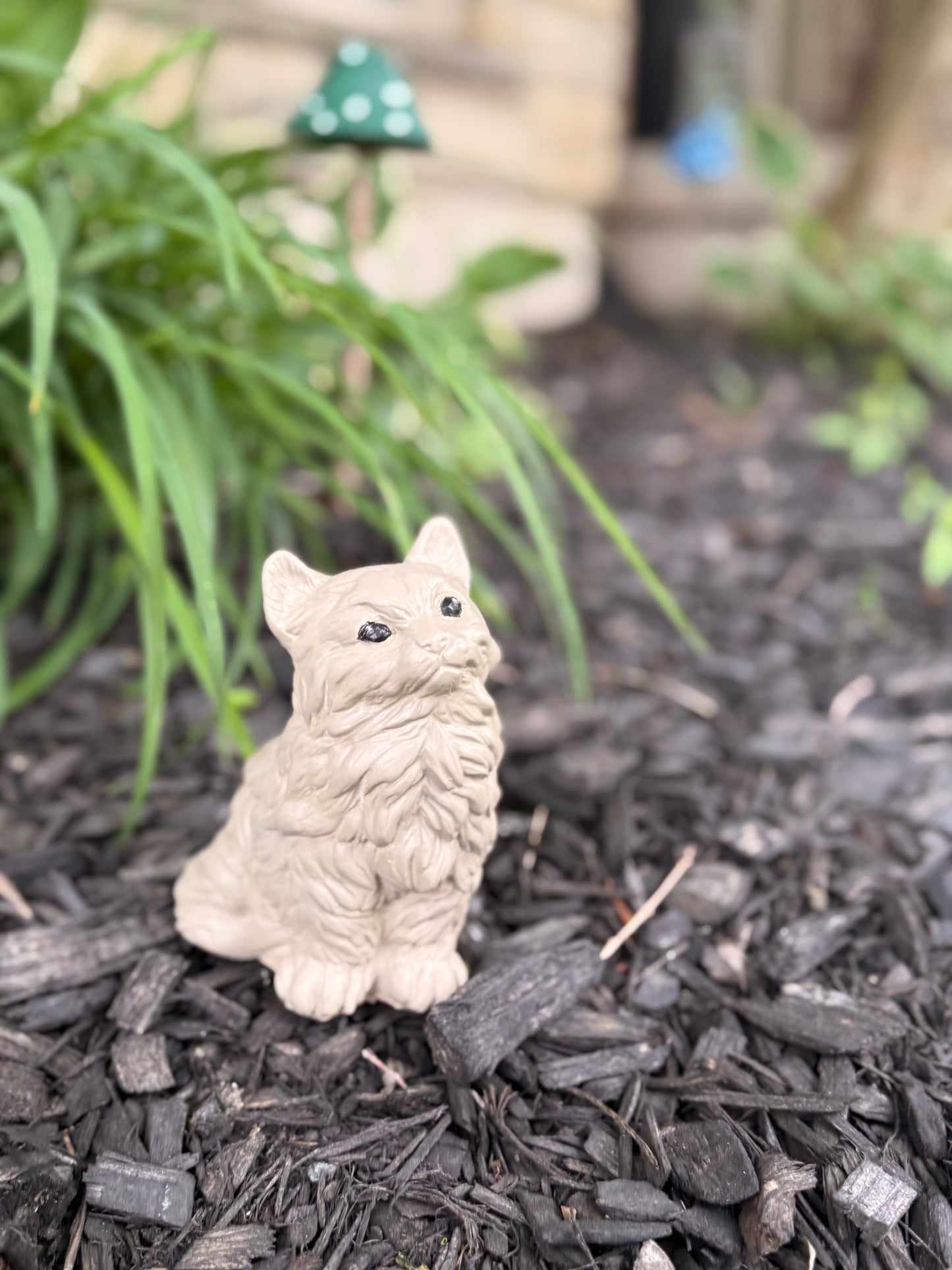 Whiskers Garden Cat