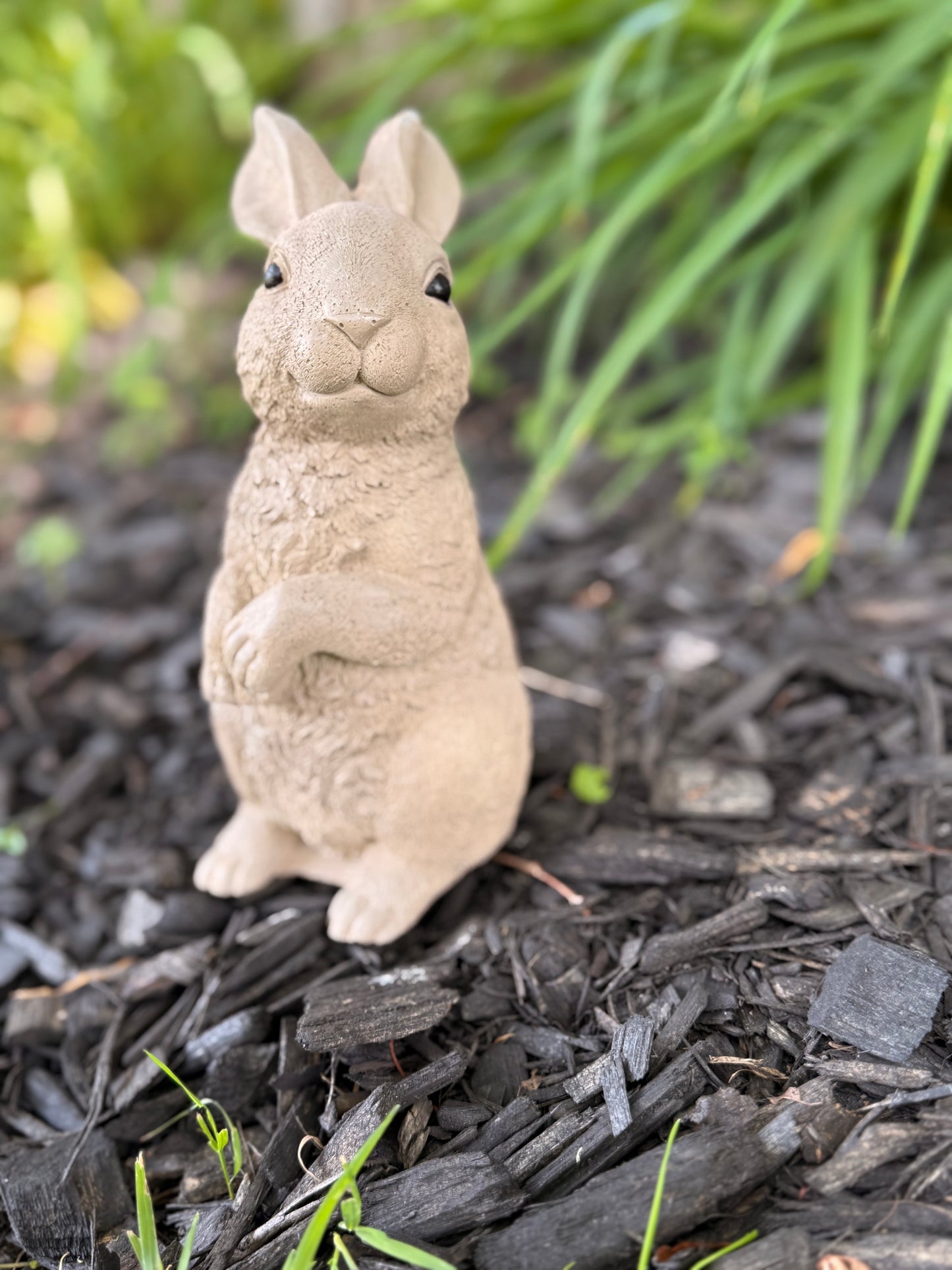 Cottontail Garden Bunny