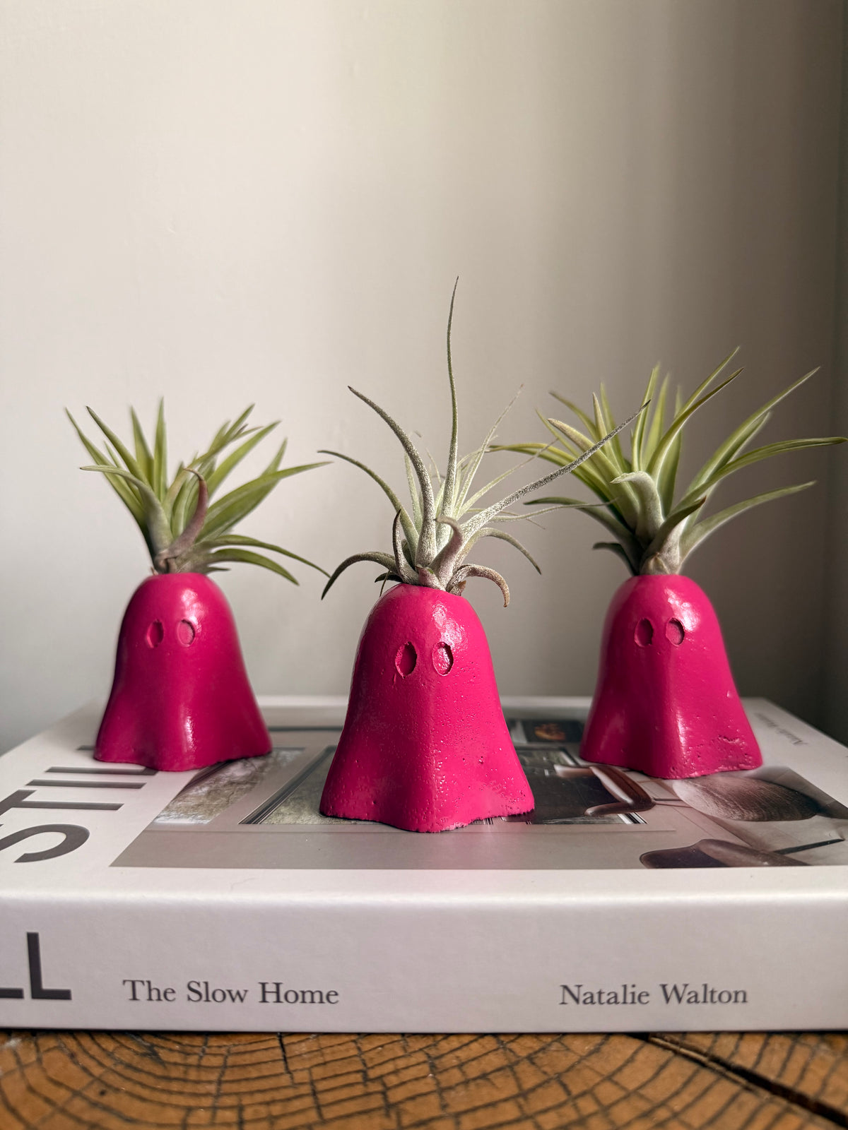 Ghost Air Plant Holder