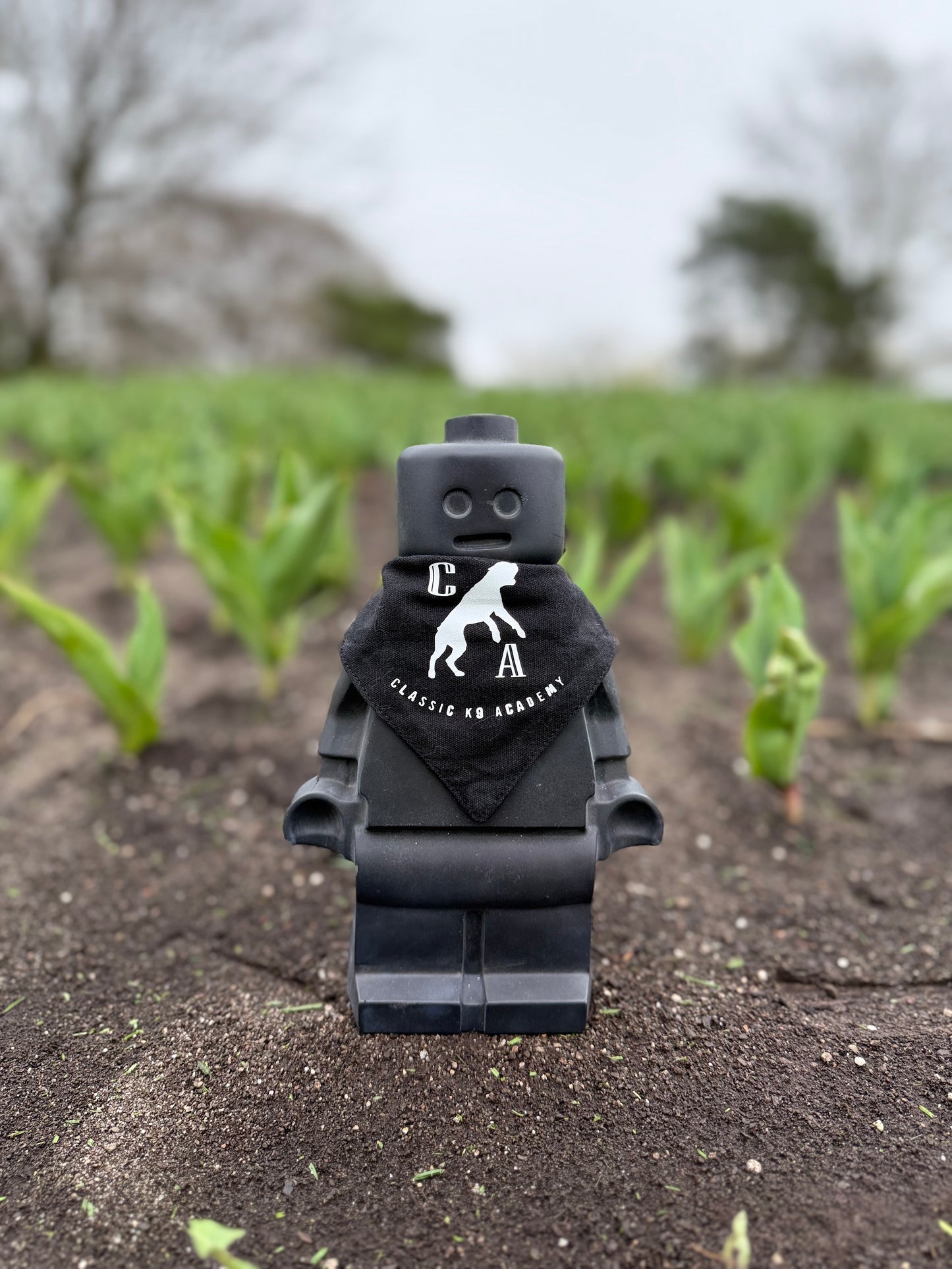 Brick Man Garden Gnome with Personalized Bandana