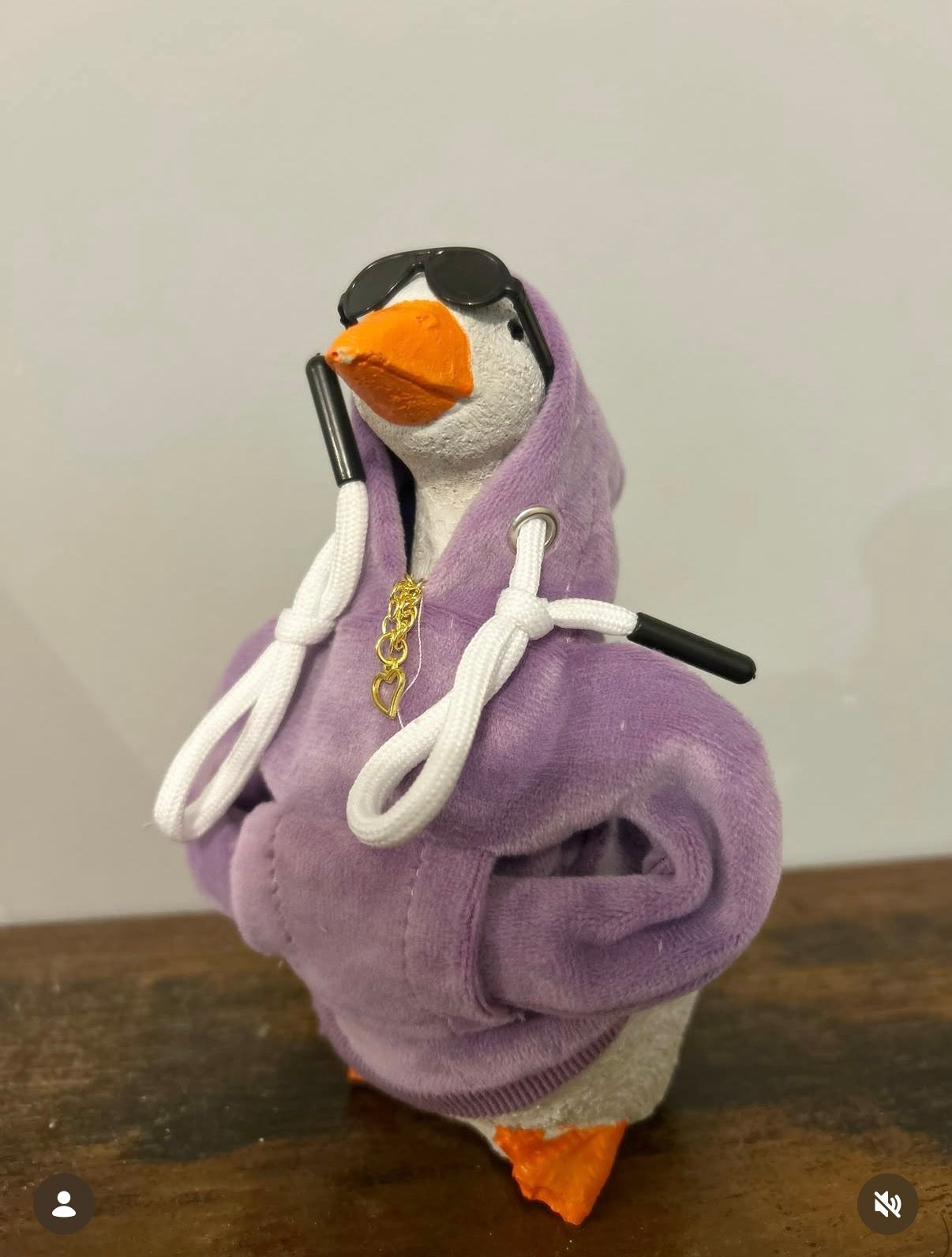 The Desk Goose